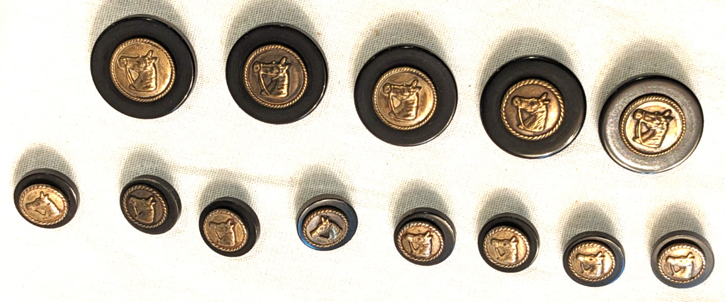 RARE Set of 13 Vintage Equestrian Horsehead Buttons - Bronze & Black Classic