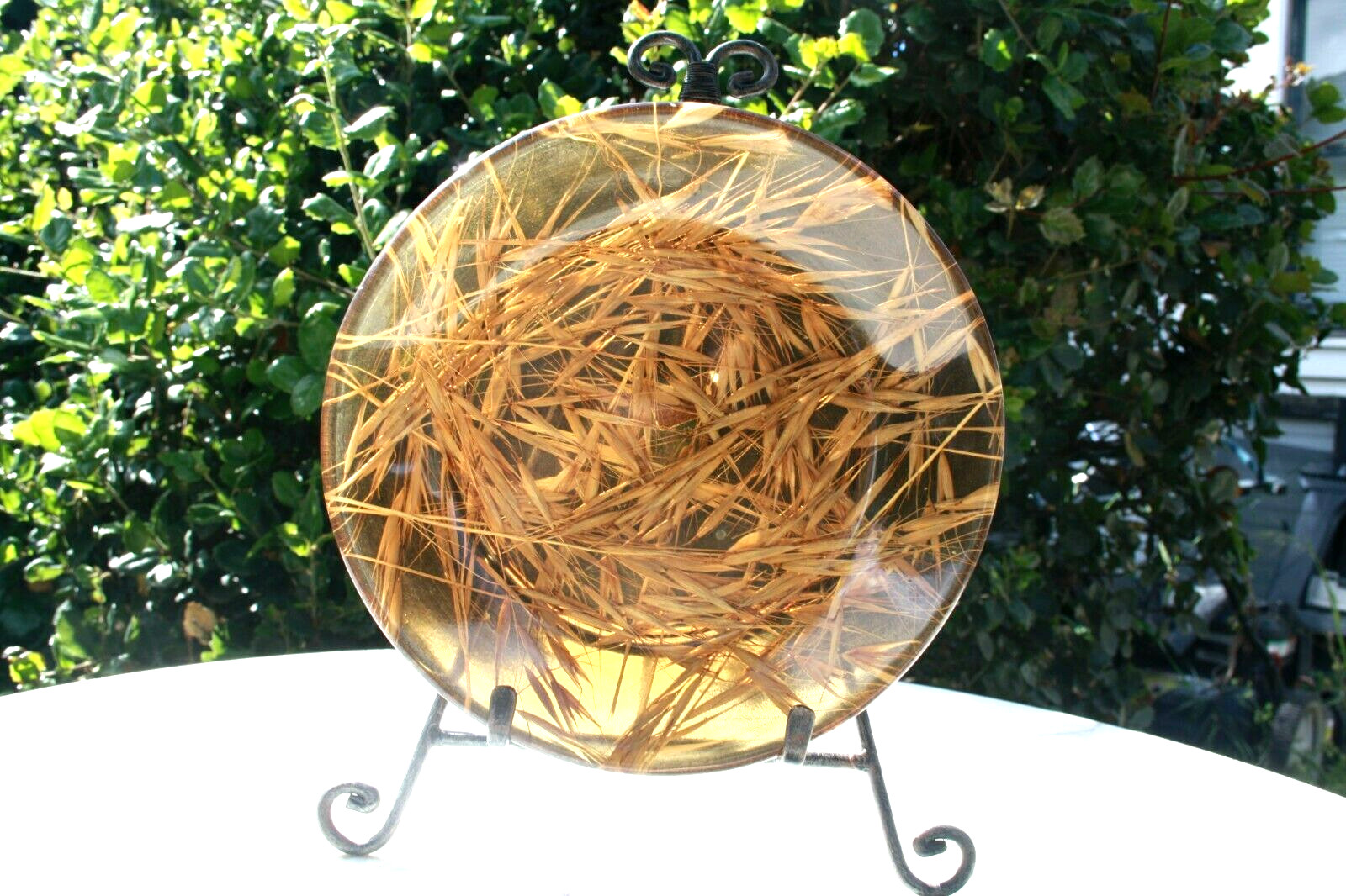 Vintage MCM Lucite Bowl Embedded Grain Farm Italy by Ducci Florence