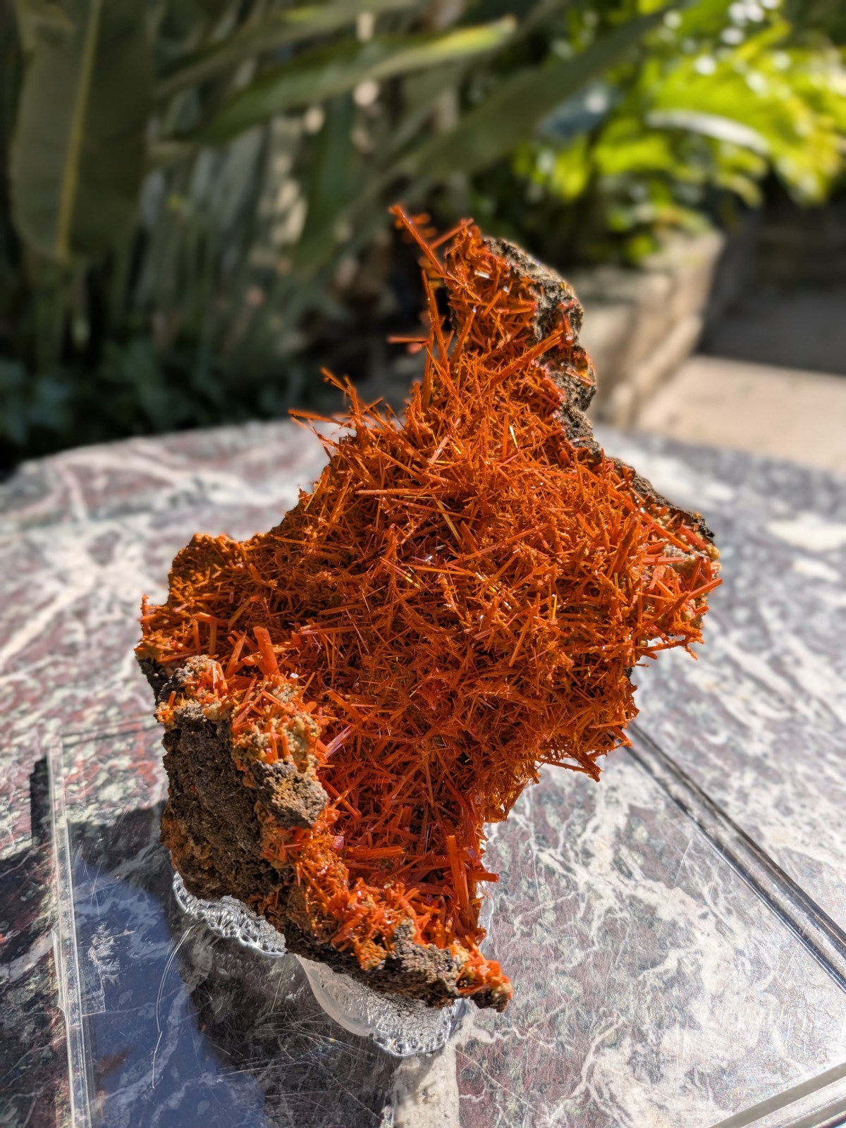 Large Crocoite Mineral Specimen. Old Stock 1978. Large Crocoite Mineral Specimen. Old Stock 1978.