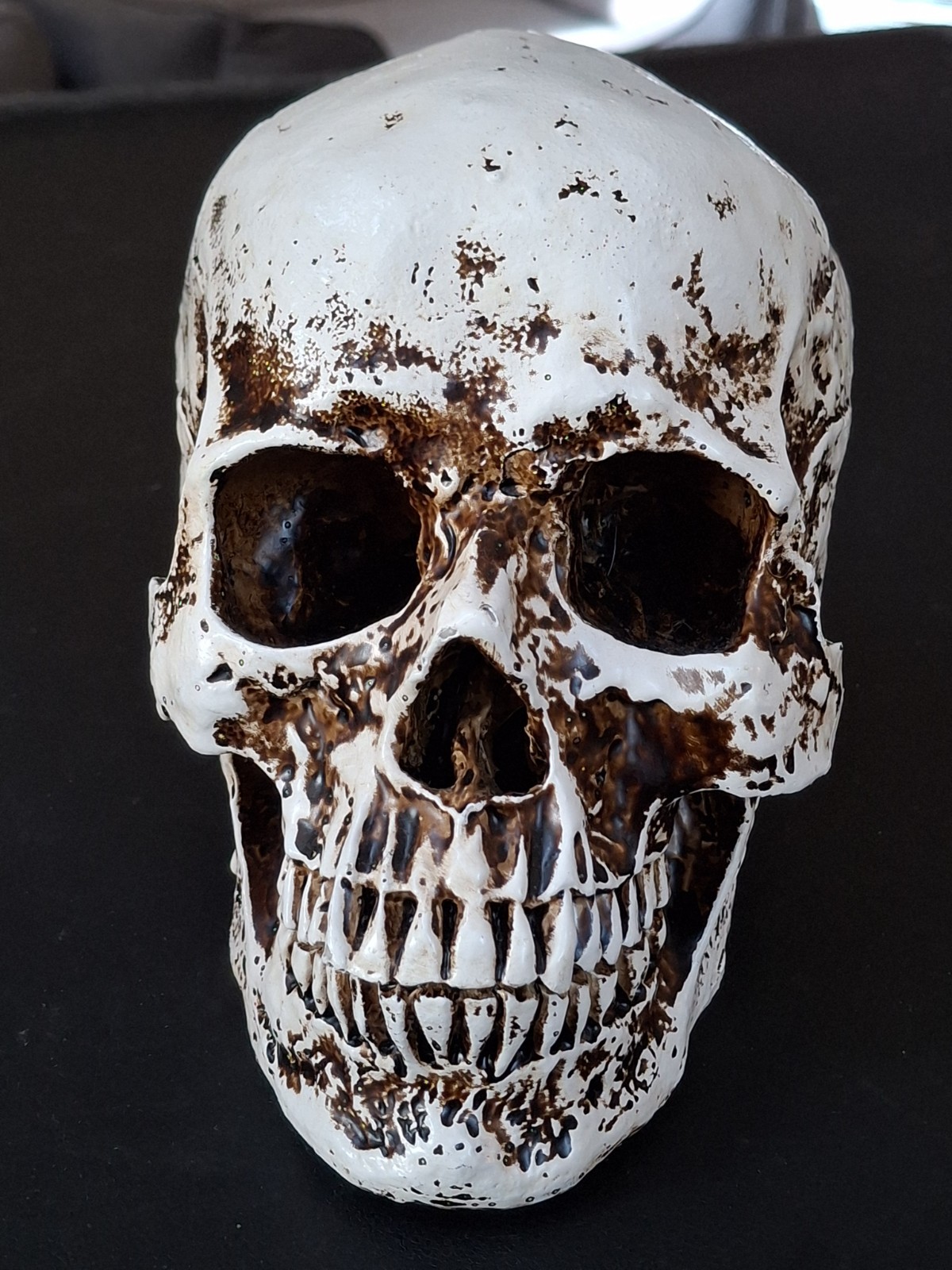 Vintage Halloween Skull Life Size Resin Prop Skeleton Decoration Vintage Halloween Skull Life Size Resin Prop Skeleton Decoration