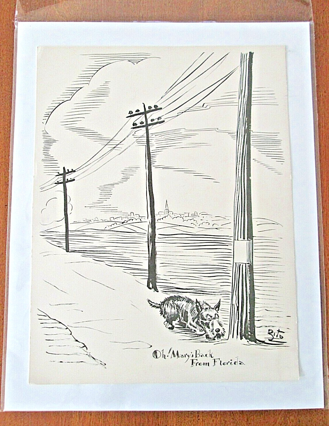 Humorous Scottish Terrier Print 1930s Scottie Illustration Art by Zito 9x12\
