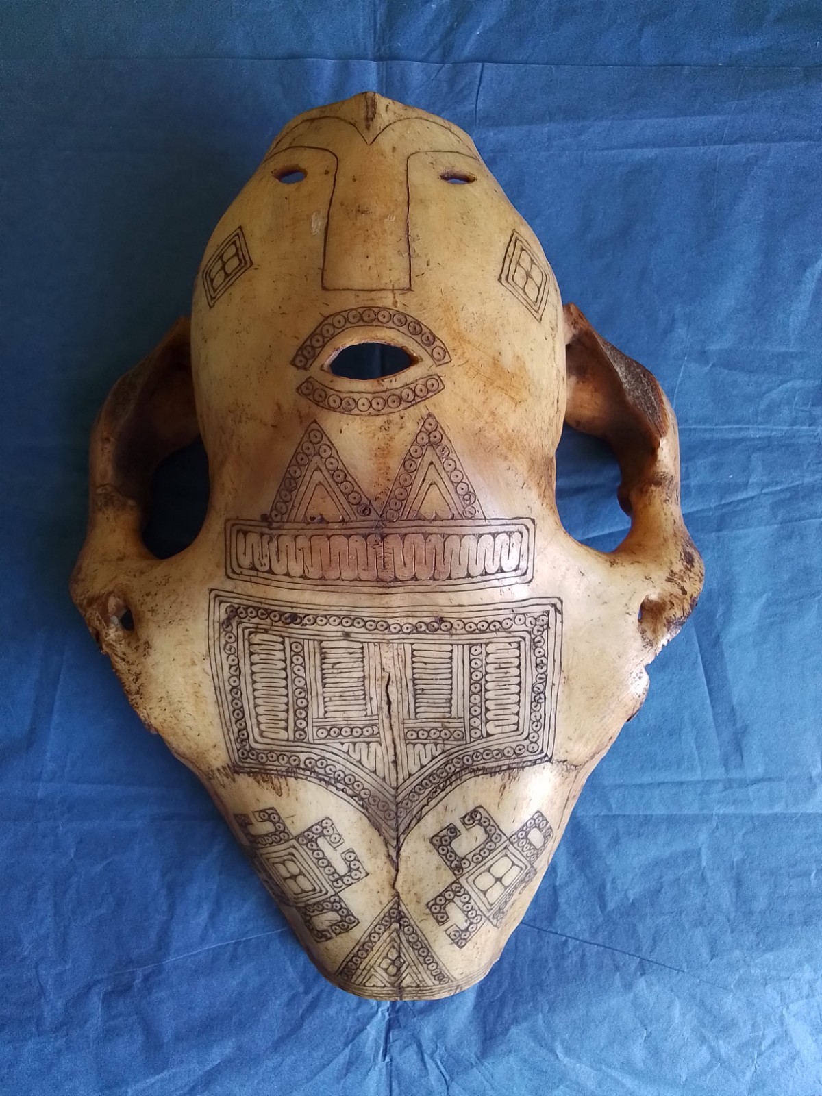 Antique Belu Antoni Bovine Skull Mask, Indonesia Timor Island, Shamanic, Incised