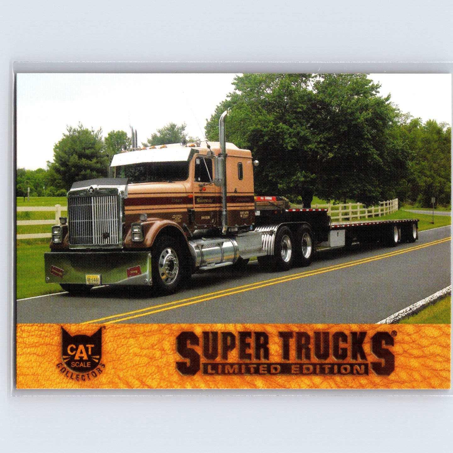 2010 CAT Scale Super Trucks Limited Edition Series Eleven 1999 International #50