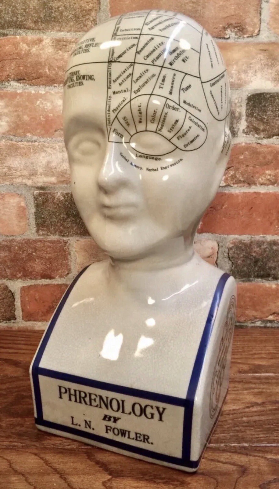 Porcelain L.N. Fowler Phrenology Scientific Psychology 16” Tall Bust Head