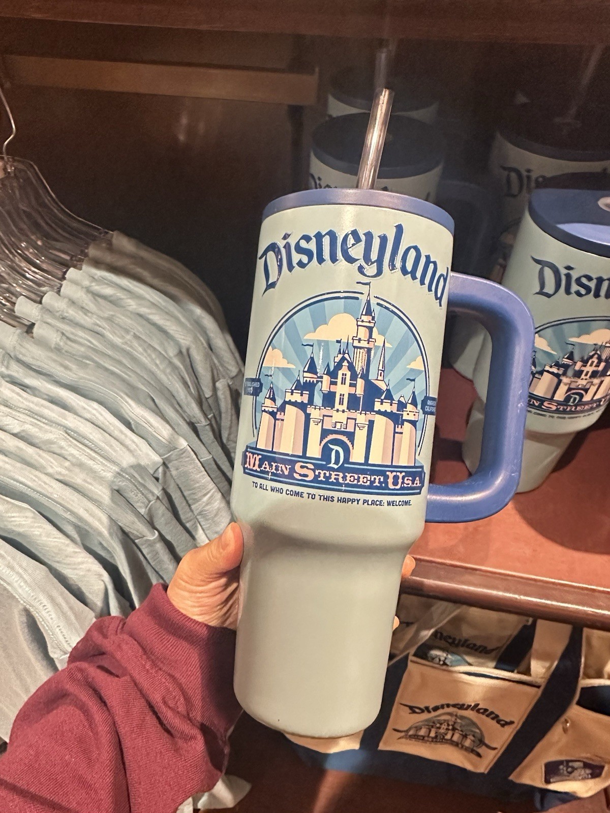 Disney Disneyland MAIN Street Collection Stainless Steel Travel Tumbler w Straw 