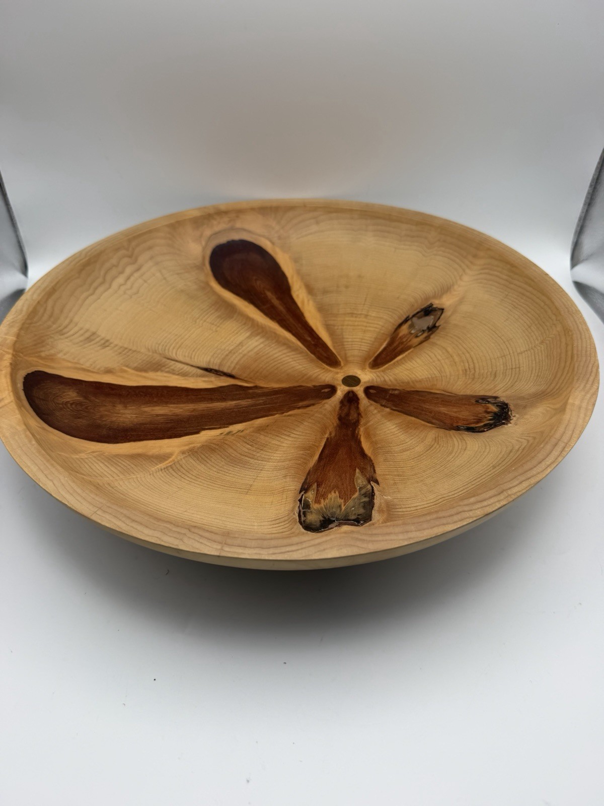 Alan Wedgwood Rare Monkey Puzzle Wood Bowl Signed 2005 14” Hand Turned Art