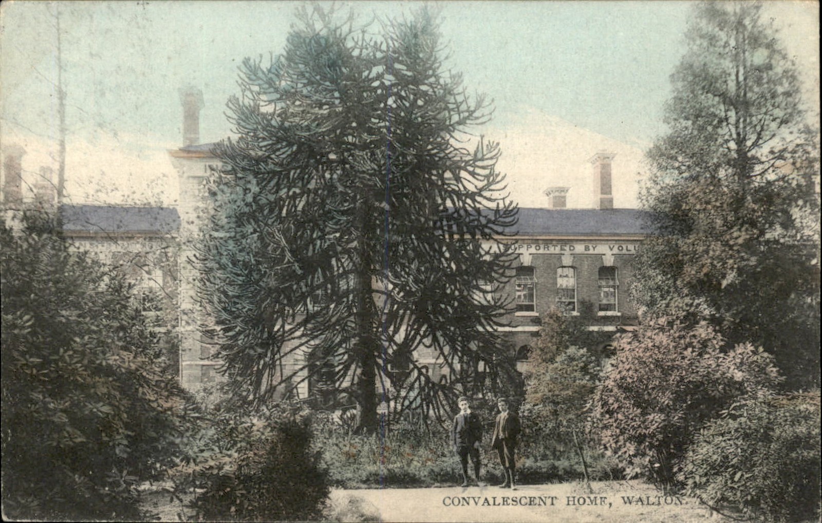 Walton Convalescent Home c1900s-10s Vintage Postcard