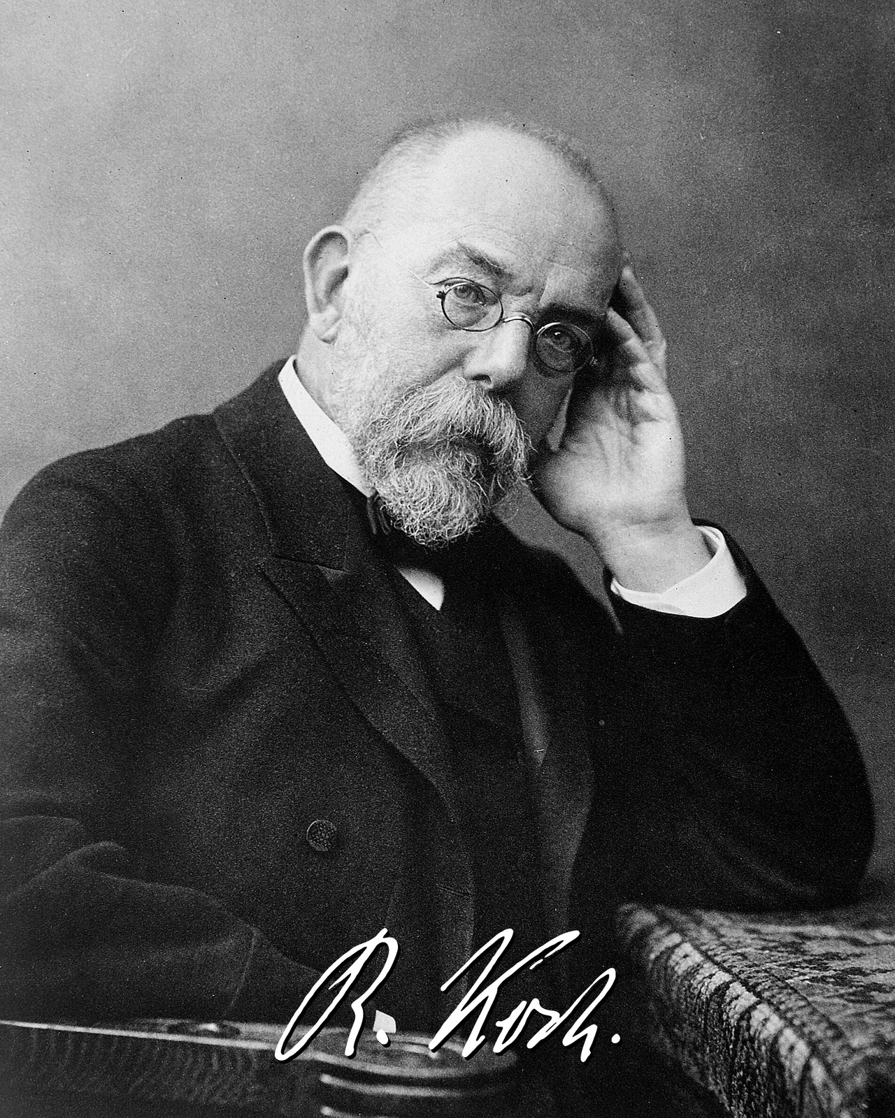 Robert Koch Printed Signature Reprint Not Hand Signed Robert Koch Printed Signature Reprint Not Hand Signed
