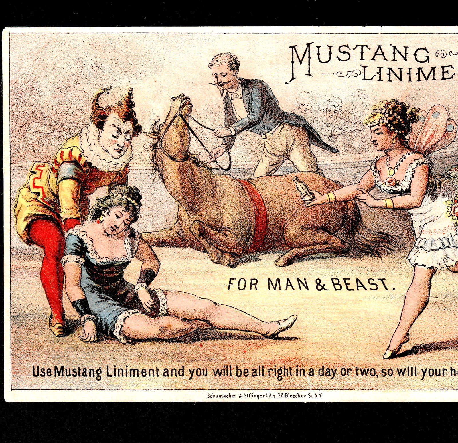 1800\'s Circus Clown Horse Act Injury Mustang Liniment Bottle Trade Card j.US
