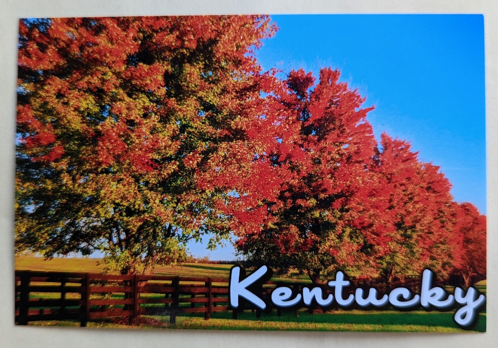 Postcard KY. Autumn in Kentucky. 
