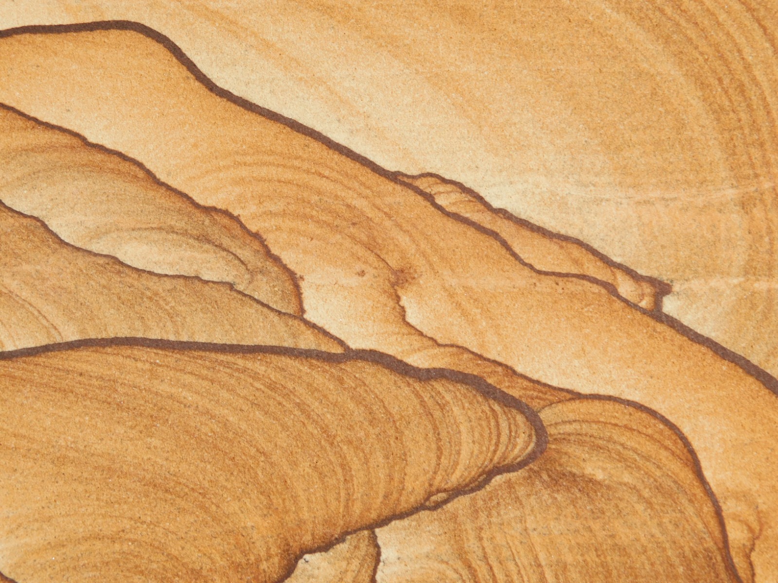PICTURE Stone or SANDSTONE Slice/Slab with Display Stand Utah 236gr