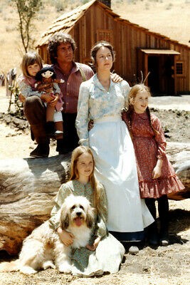 LITTLE HOUSE ON THE PRAIRIE 24X36 COLOR POSTER CAST 1970\'S TV LITTLE HOUSE ON THE PRAIRIE 24X36 COLOR POSTER CAST 1970\'S TV