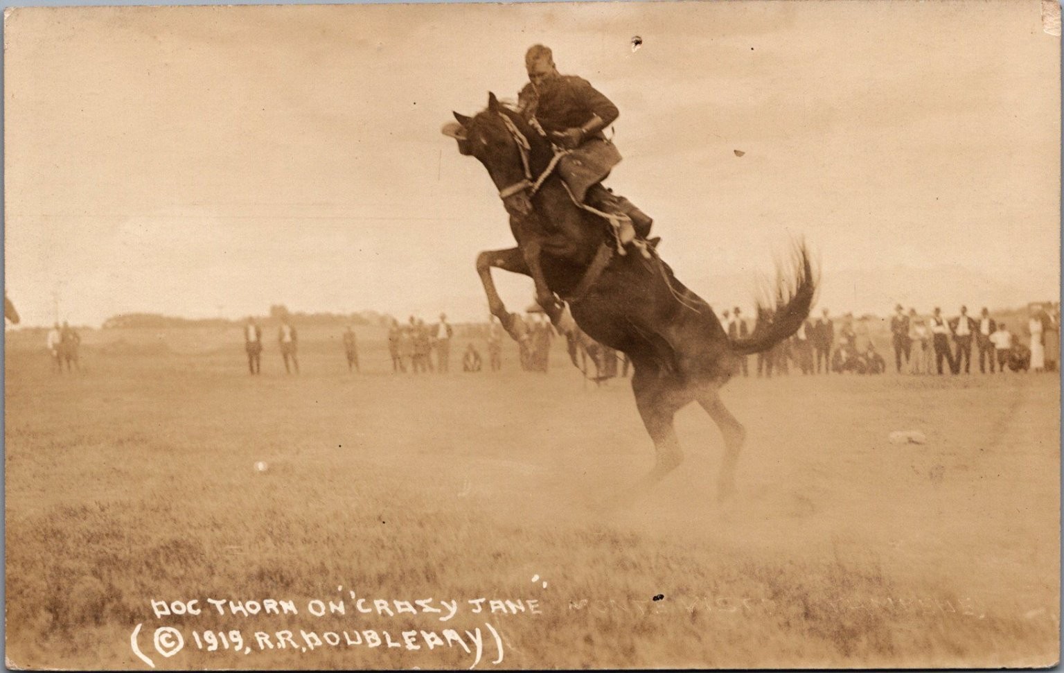 1919 Doc Thorn on Crazy Jane RPPC Rodeo Cowboy Bronc Riding Postcard 1919 Doc Thorn on Crazy Jane RPPC Rodeo Cowboy Bronc Riding Postcard