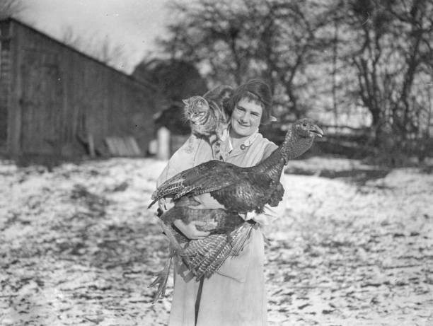Woman with a cat balancing her shoulder carries home festive fowl Old Photo