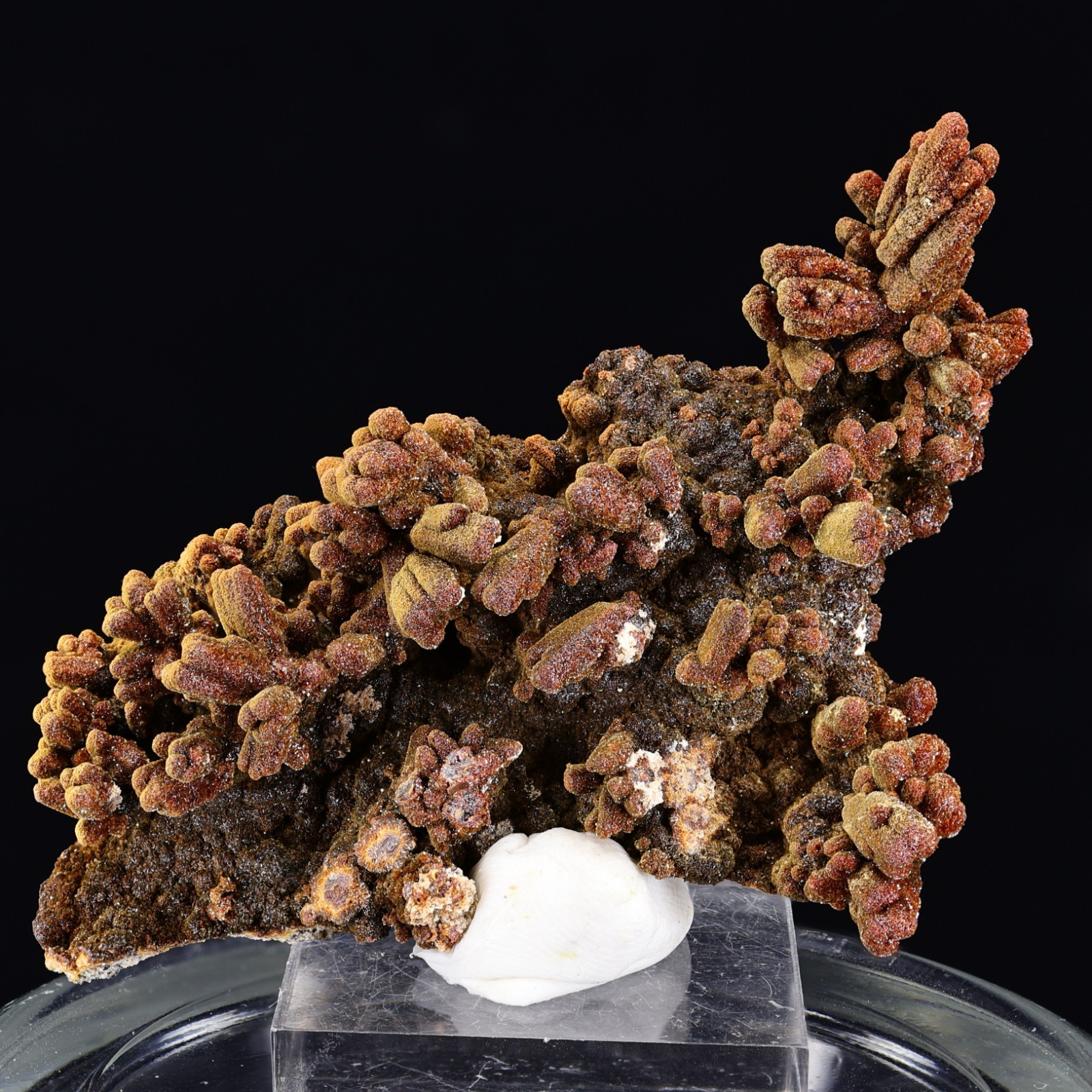 Descloizite ps Vanadinite | Robinson District, White Pine Co, Nevada - NEW FIND Descloizite ps Vanadinite | Robinson District, White Pine Co, Nevada - NEW FIND