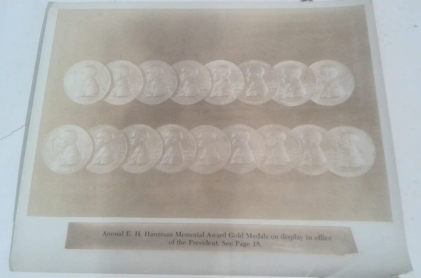 VINTAGE Picture Annual E. H. HARRIMAN MEMORIAL AWARD Gold Medals 8X10 in Z46