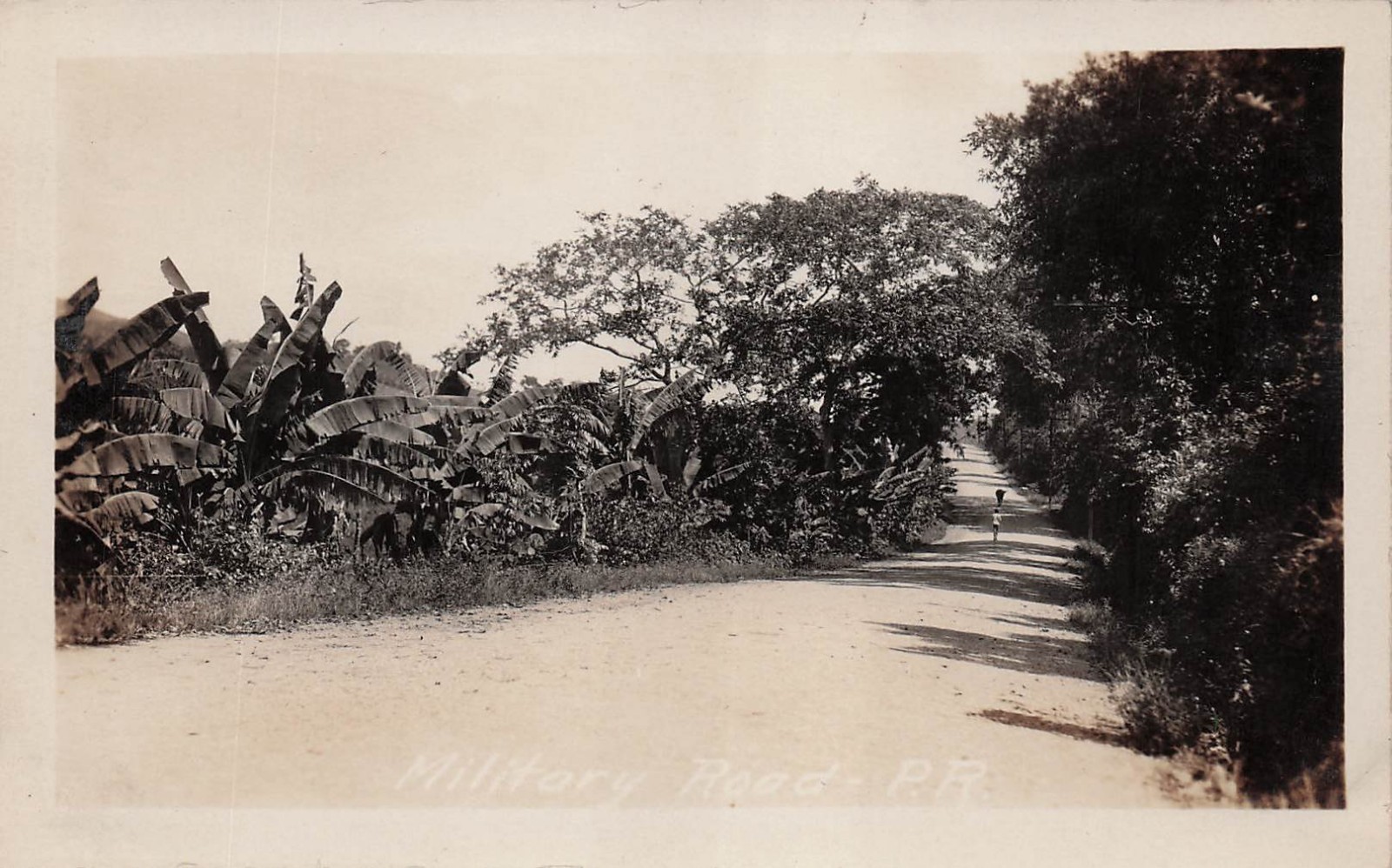 RPPC Ceiba Military Road Puerto Rico WWI Rosy Roads Navy Base Postcard 21A