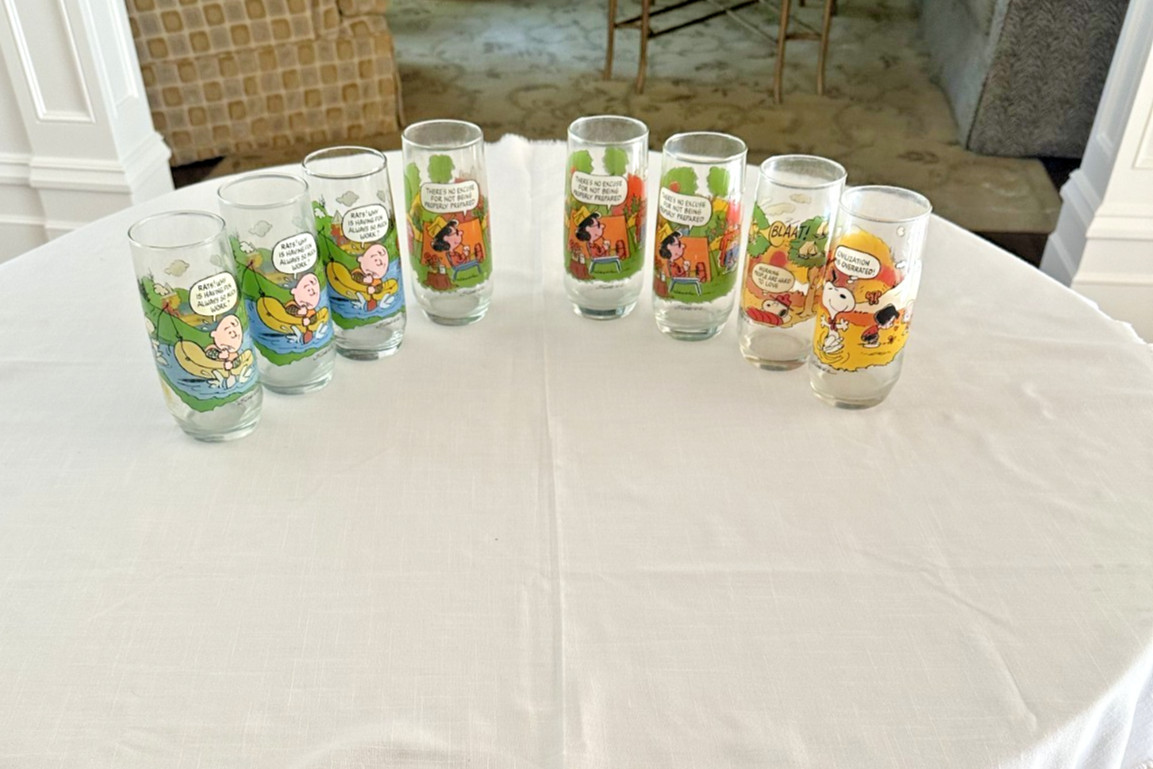 Vintage 1983 McDonald's Peanuts Camp Snoopy Collectors Glasses 8 glasses - DS29