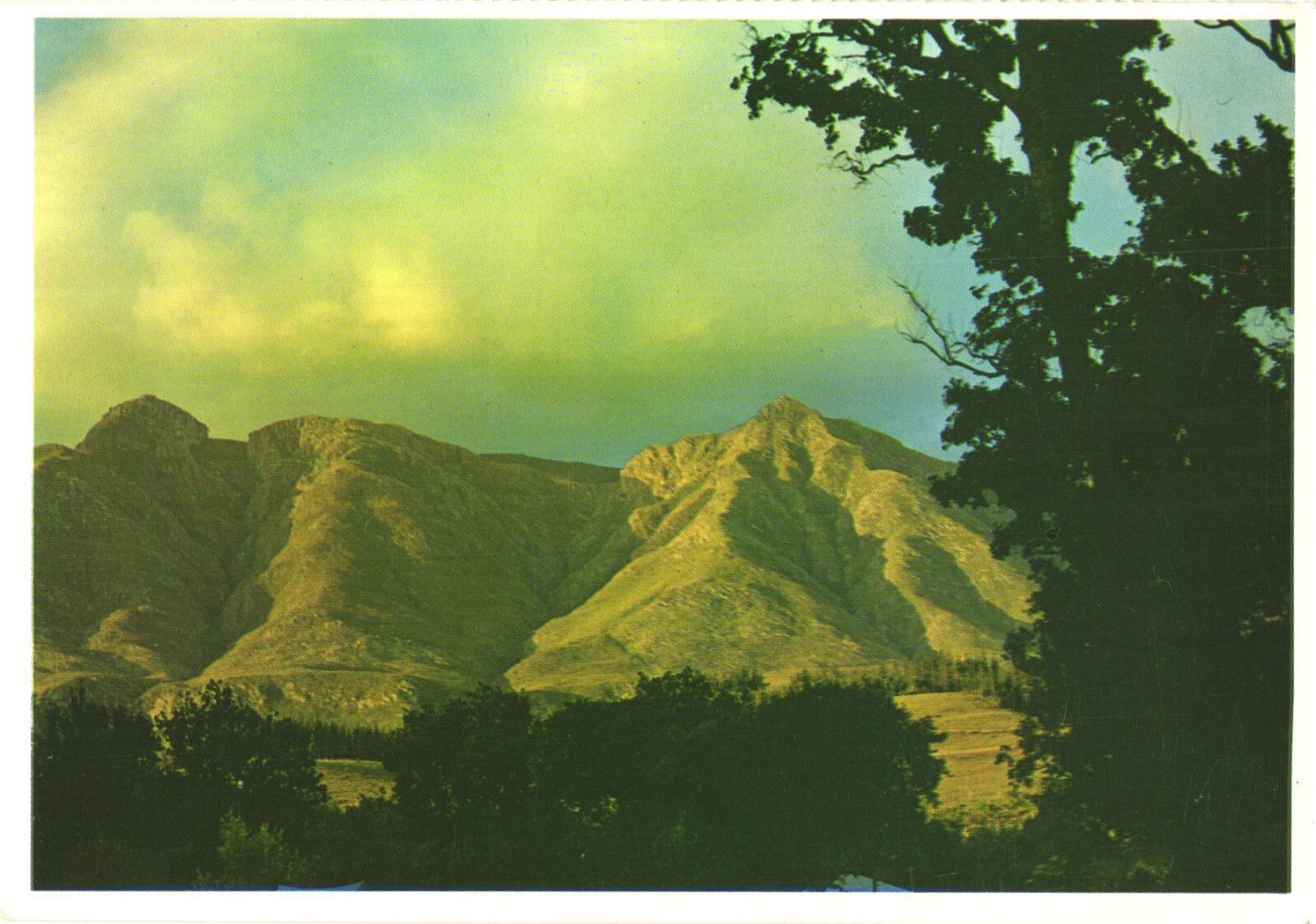 Swellendam South Africa Langeberg Mountain Range Chrome Postcard Unused Swellendam South Africa Langeberg Mountain Range Chrome Postcard Unused