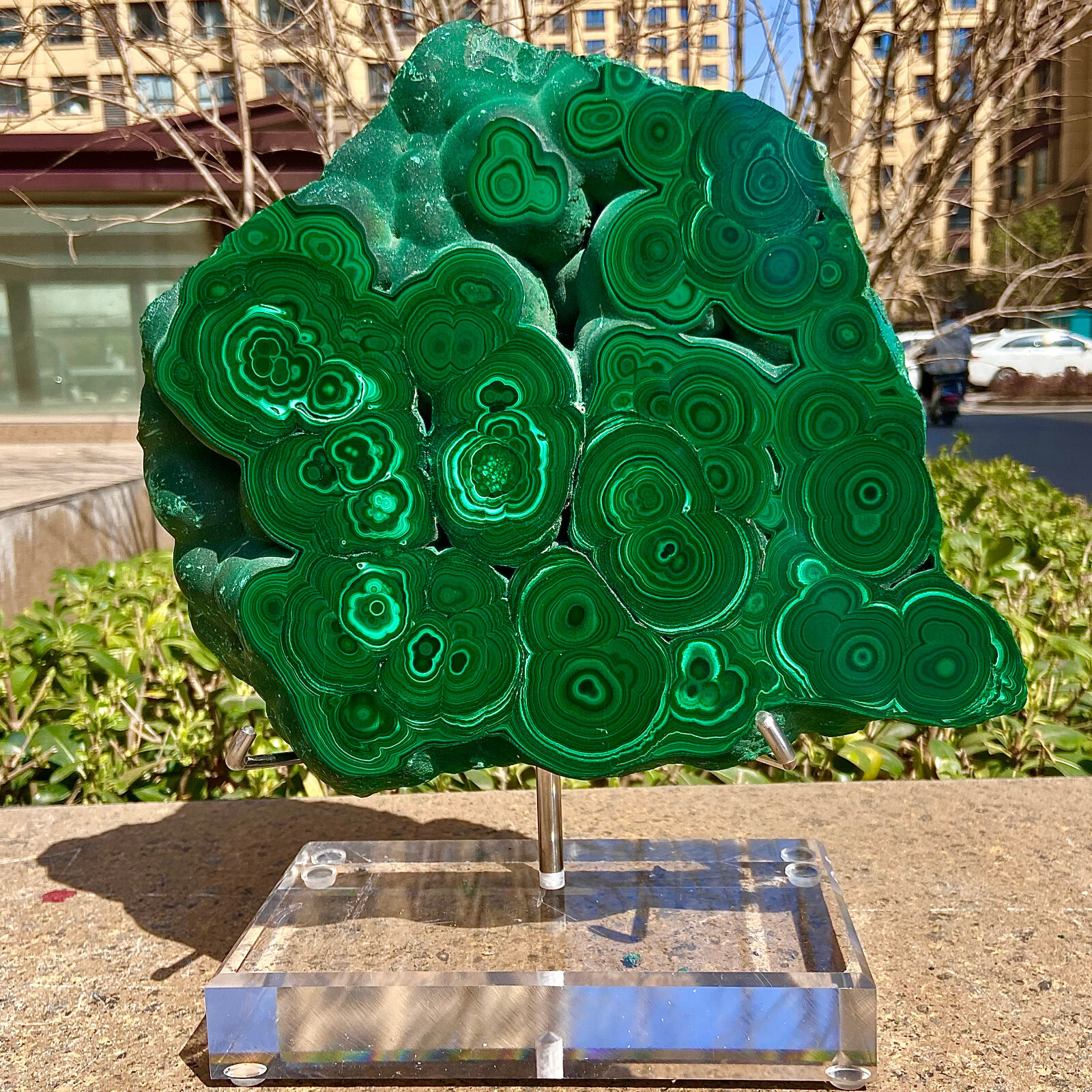 11.75LB  Natural malachite slice quartz crystal luster mineral specimen