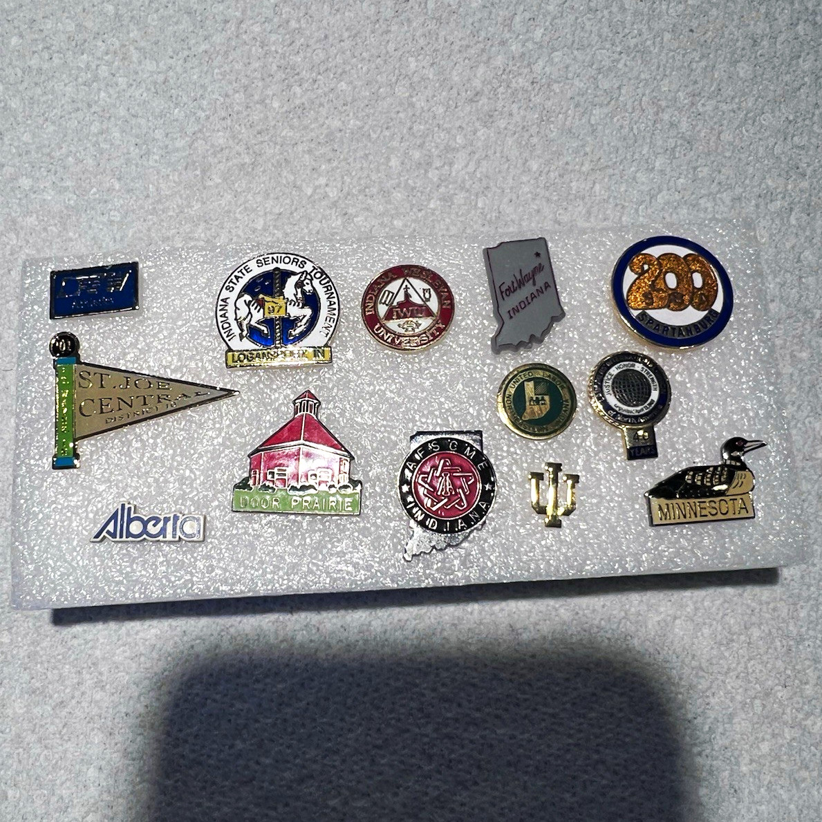 Vintage Indiana Souvenir Pin Lot Ft Wayne Labor Union AFSCME IU School Pennant