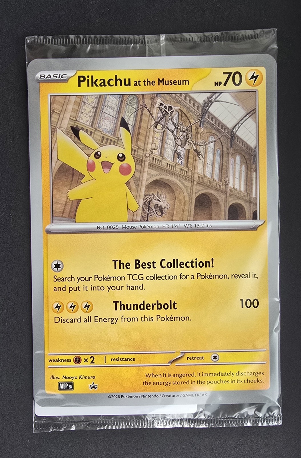 Pokemon Pikachu At The Museum x Natural History London Jumbo Promo Card - Sealed