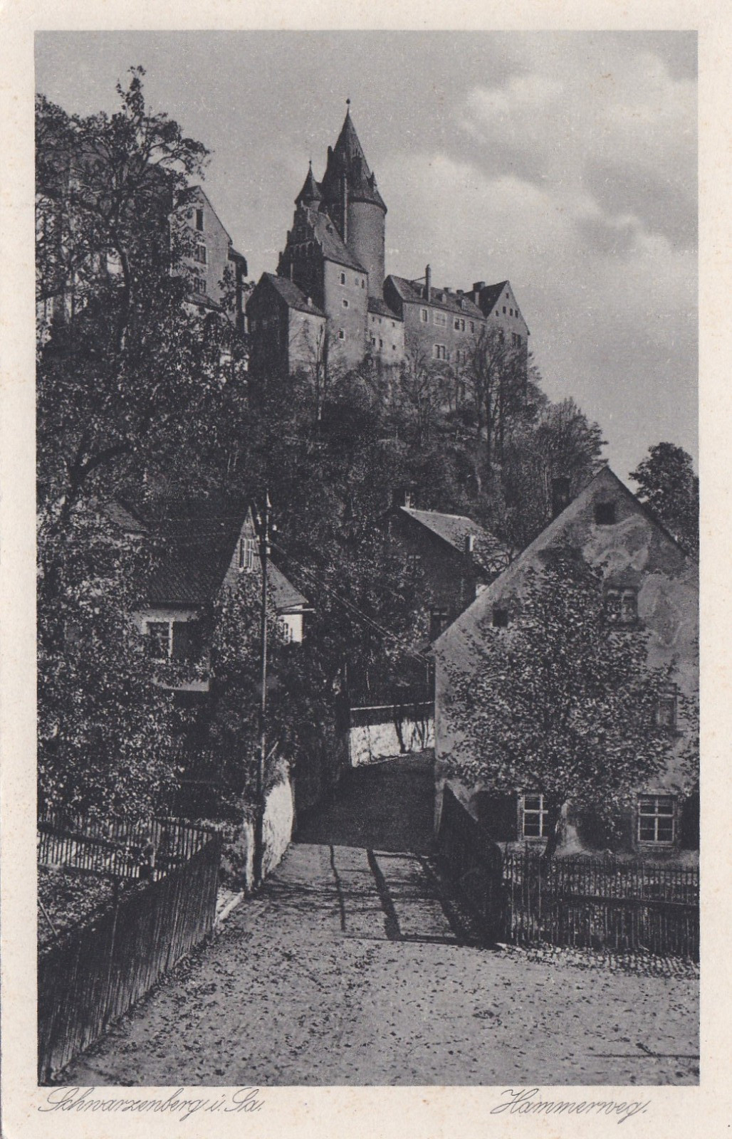 1900 Postcard German Empire Schwarzenberg Saxony Hammerweg Cityscape Excellent