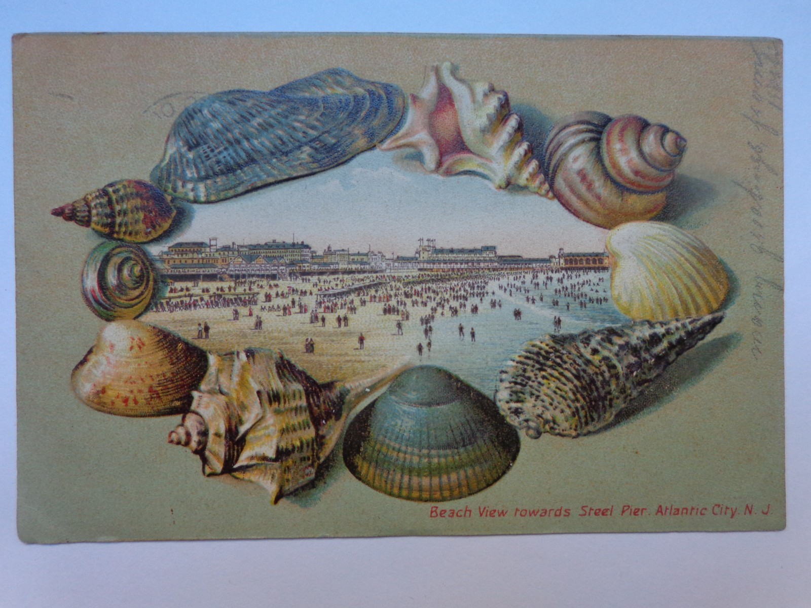 Atlantic City, New Jersey, NJ, Shell Border, Beach View Towards Steel Pier, 1907 Atlantic City, New Jersey, NJ, Shell Border, Beach View Towards Steel Pier, 1907