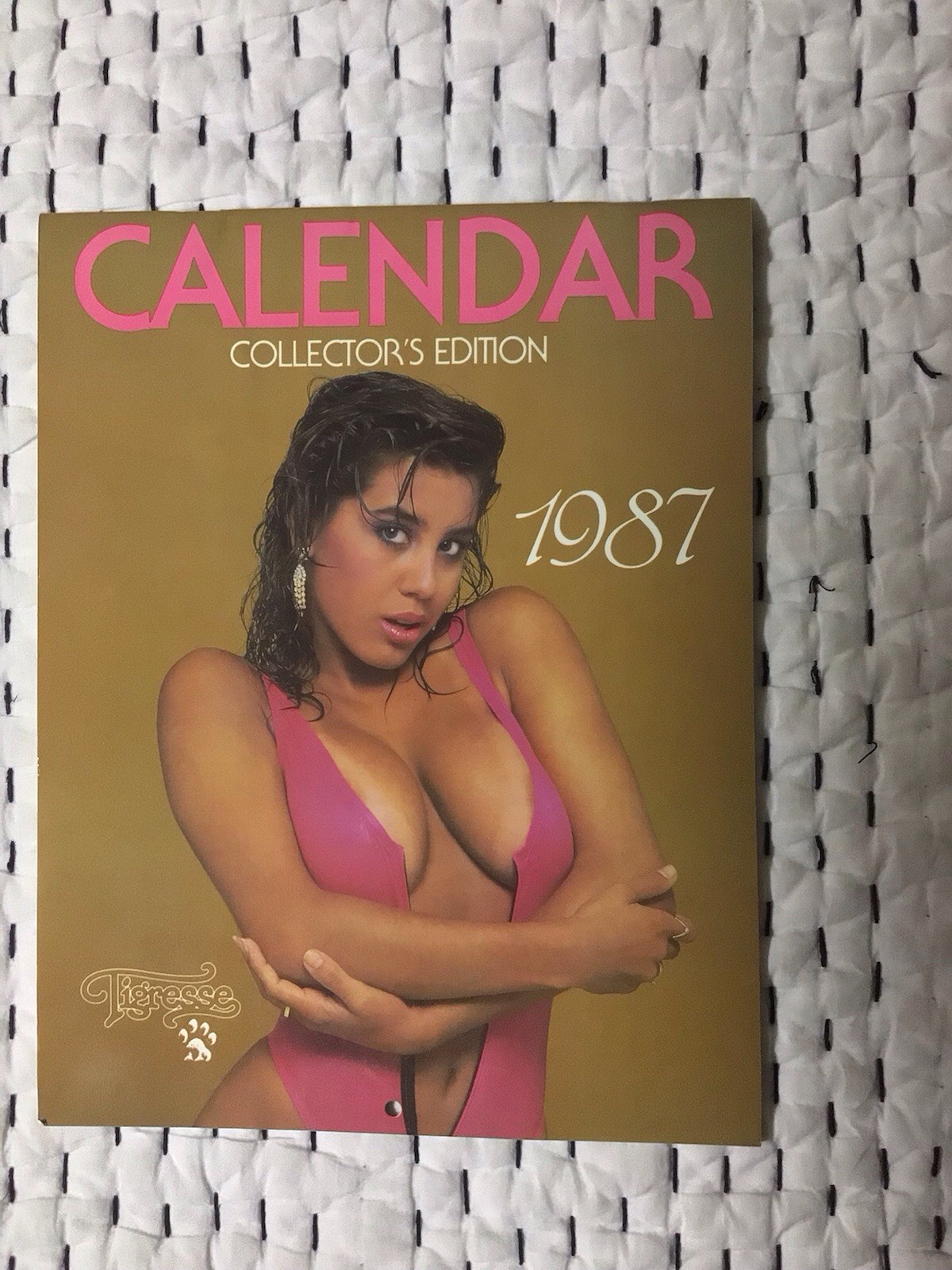 Vintage Tigress 1987 Calendar Brooke Morales Bikini Swimsuit RARE
