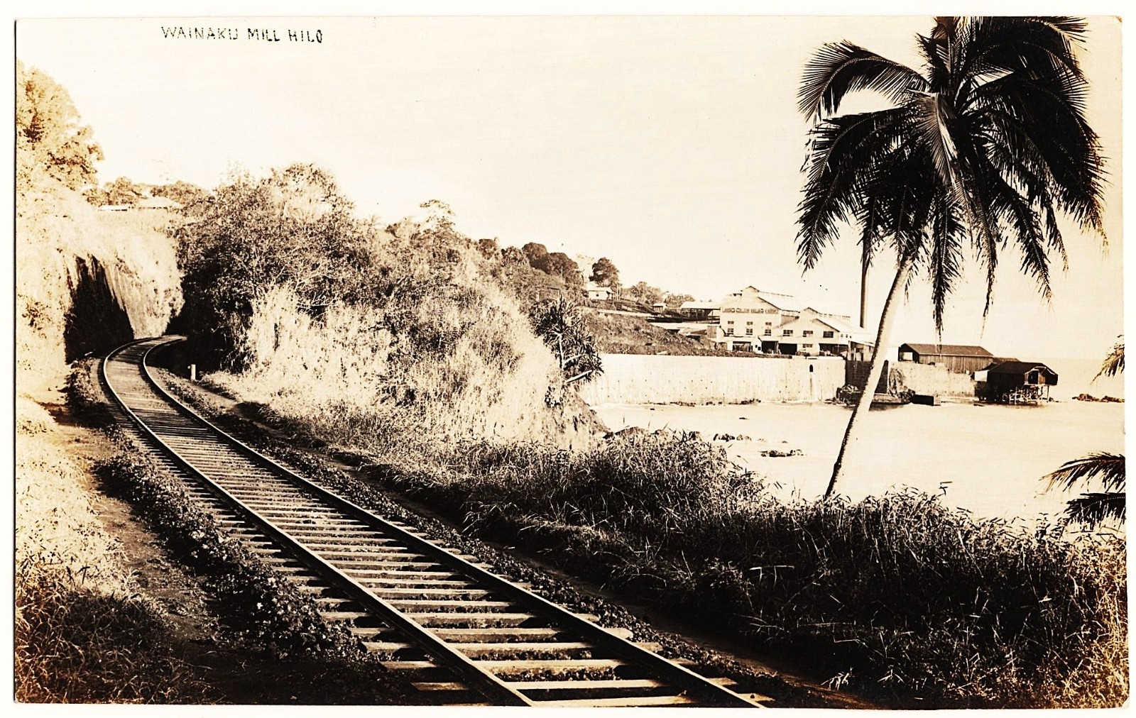 real photo Wainaku Mill Hilo HI - Railroad Tracks Shoreline Buildings antiq RPPC real photo Wainaku Mill Hilo HI - Railroad Tracks Shoreline Buildings antiq RPPC