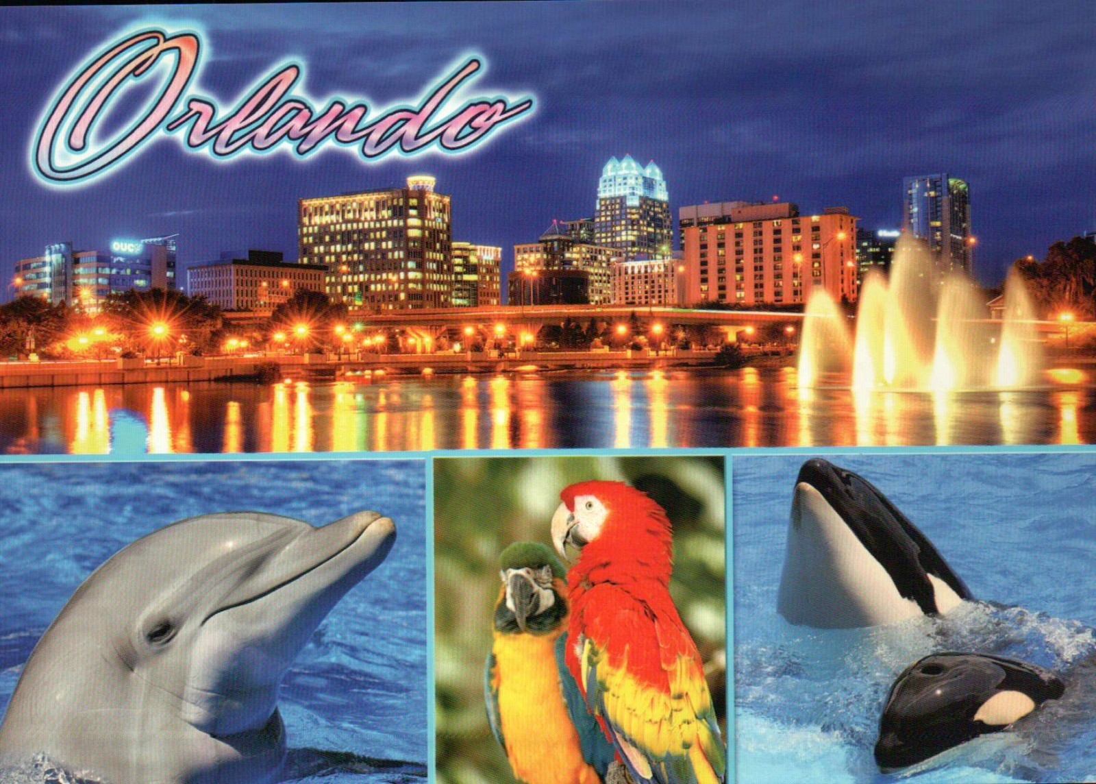 Skyline Orlando Florida at Night, Dolphin Orca Whale Parrot Water FL -- Postcard Skyline Orlando Florida at Night, Dolphin Orca Whale Parrot Water FL -- Postcard