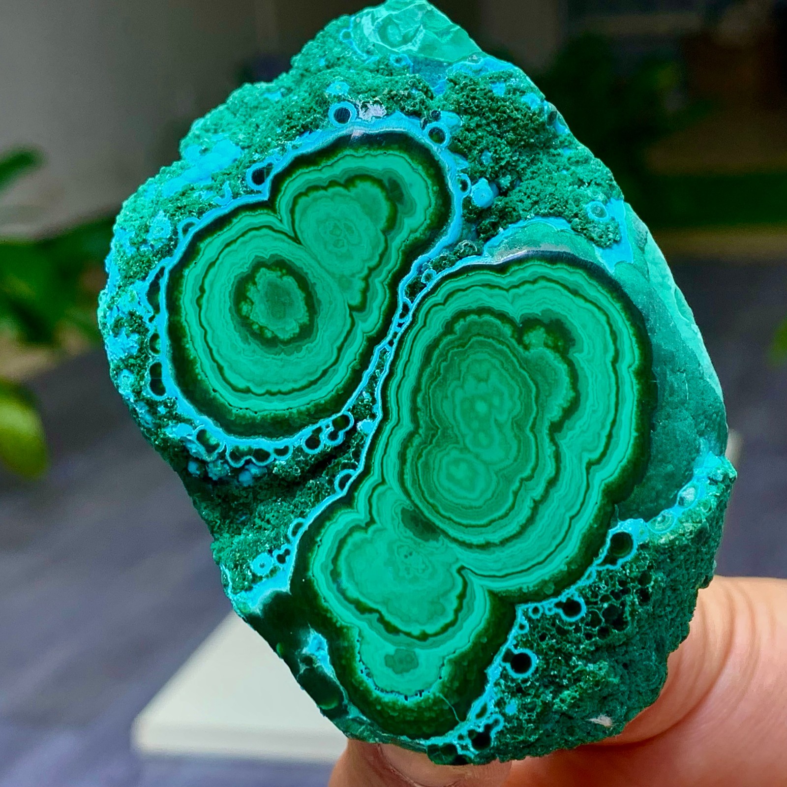 215G Natural Chrysocolla/Malachite transparent cluster rough mineral crystal
