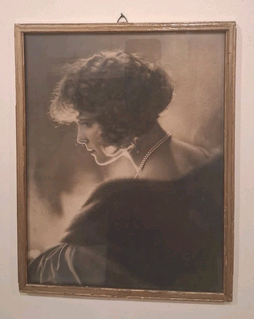 Vtg Photo Portrait of Elegant and Seamingly Aristocratic Woman. Framed 