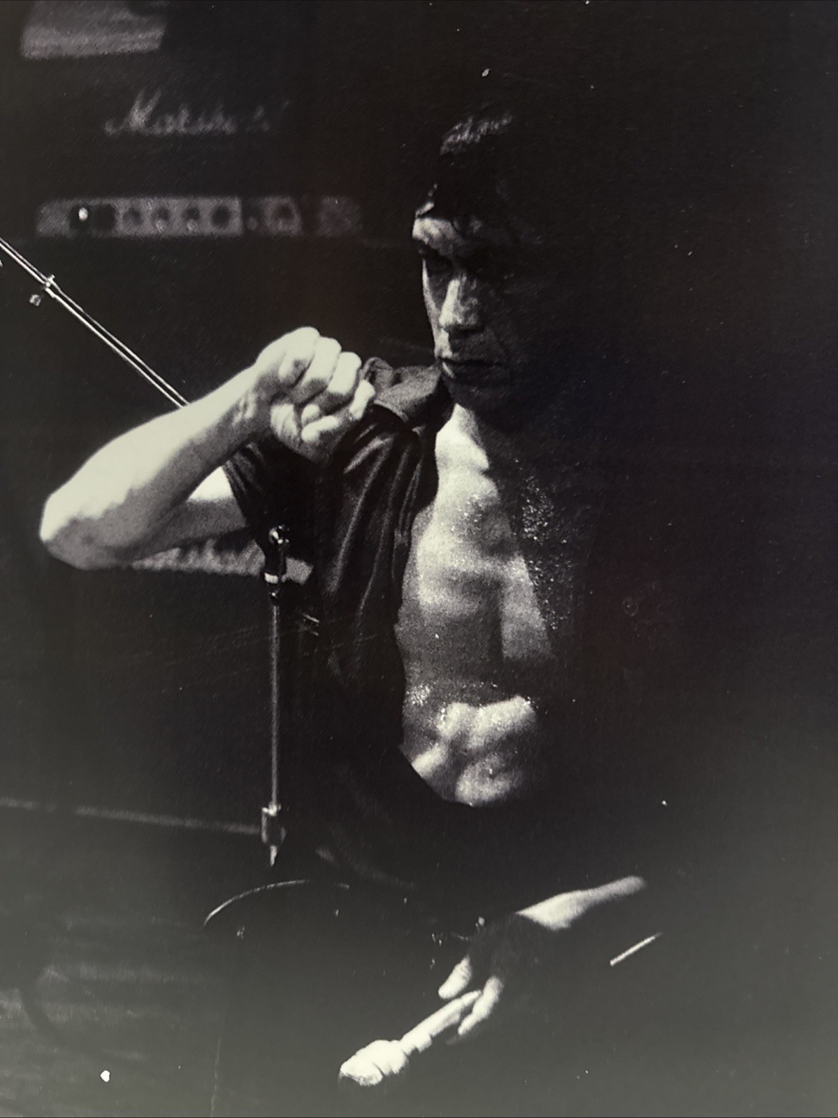 Iggy Pop Ann Arbor Detroit Original Photo Ken Kulpa Grande Ballroom 18”x12”