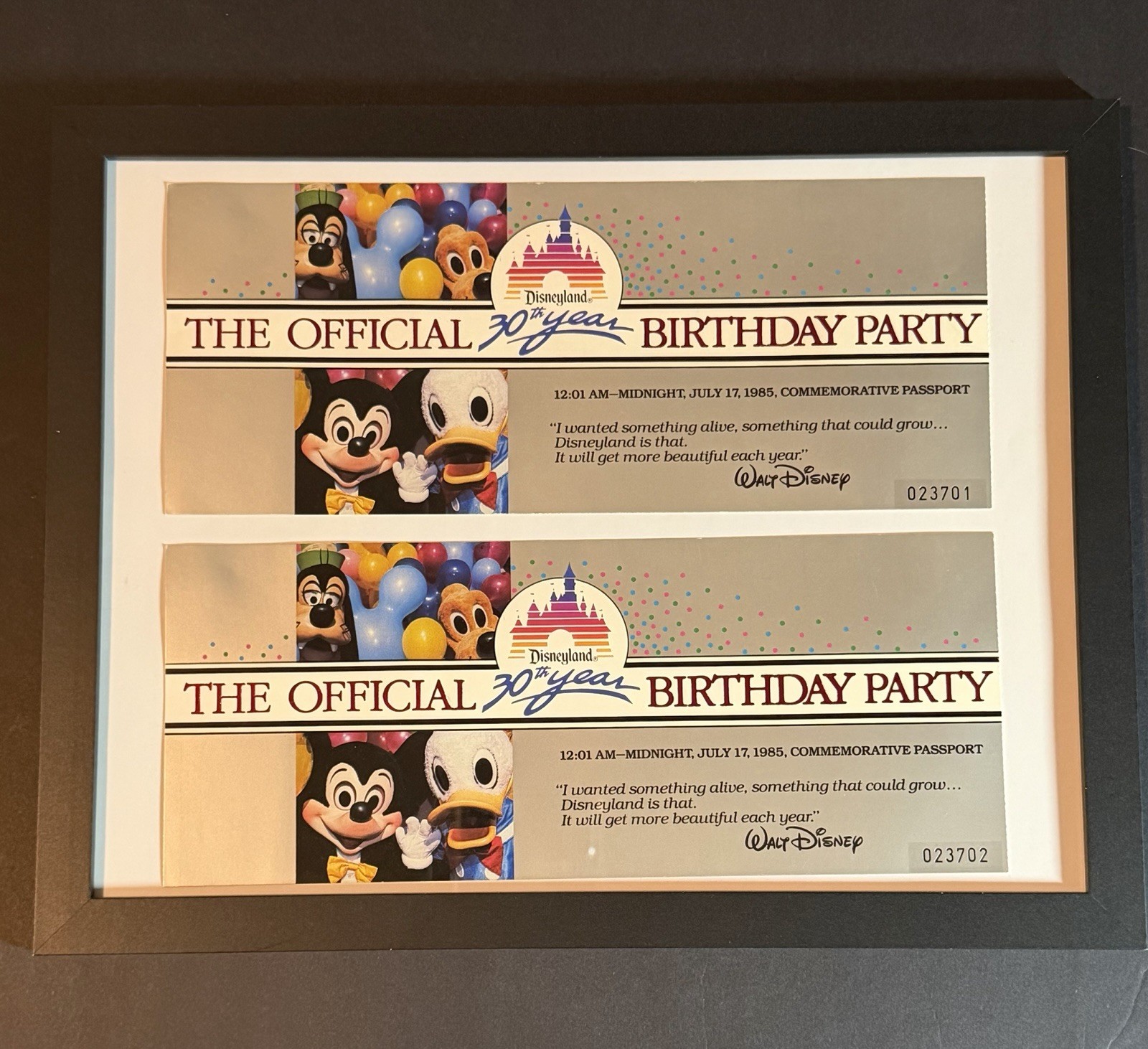 Vintage 1985 Disneyland 30th Anniversary— Framed Sequential Pair —