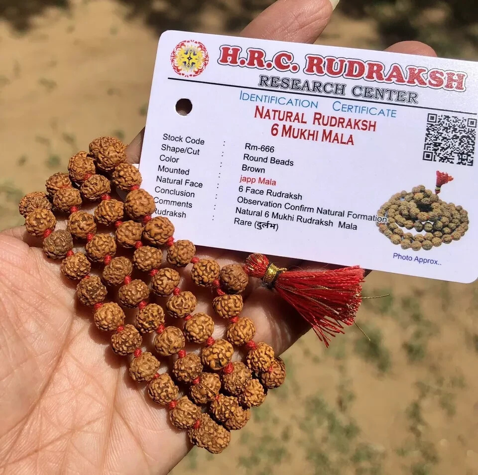 LAB CERTIFIED Rare 6 Mukhi RUDRAKSHA Rudraksh Mala ROSARY 108+1 Prayer Beads LAB CERTIFIED Rare 6 Mukhi RUDRAKSHA Rudraksh Mala ROSARY 108+1 Prayer Beads