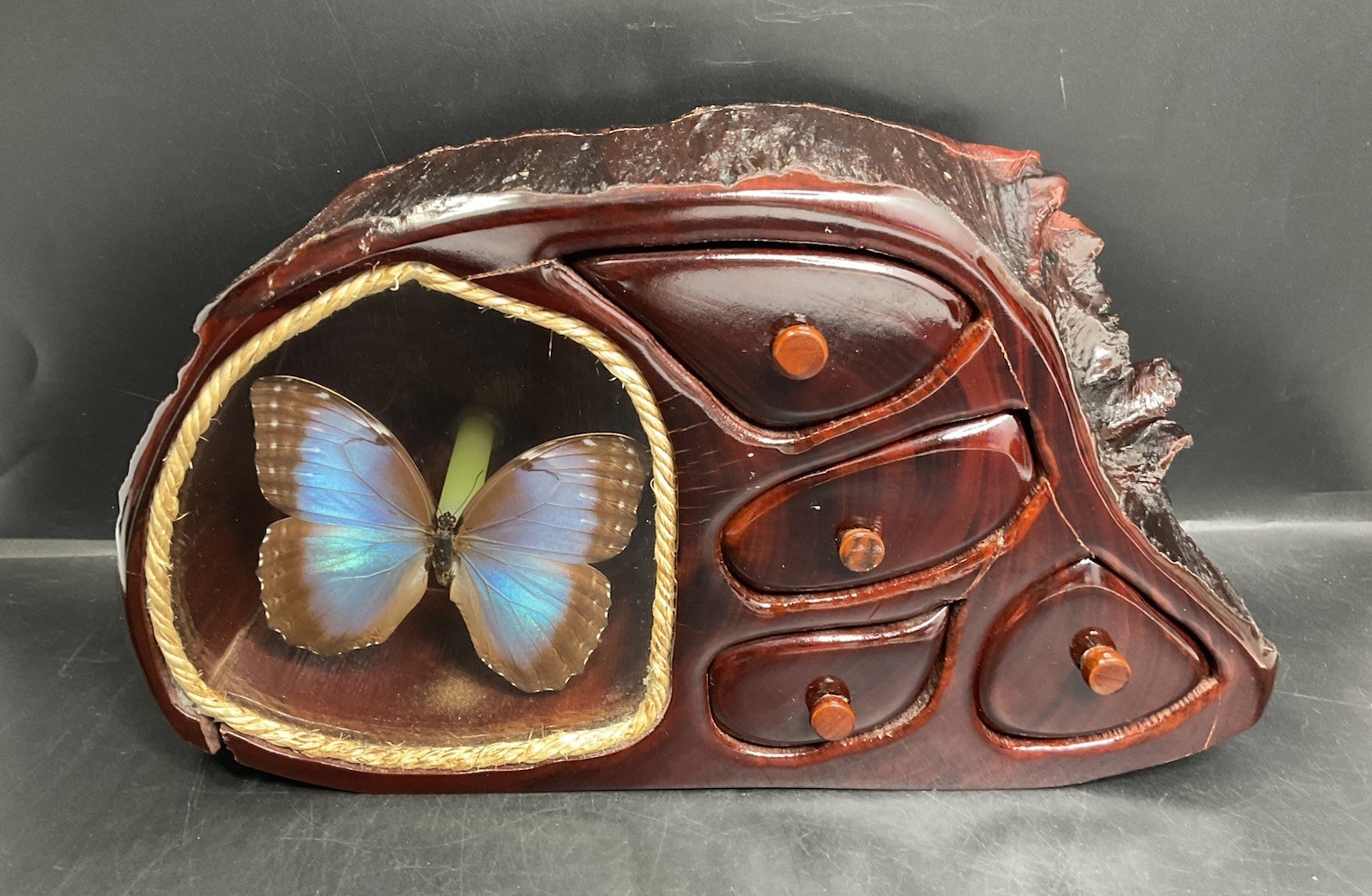 Vintage Preserved Blue Morpho Butterfly Redwood Stump Jewelry Trinket Box