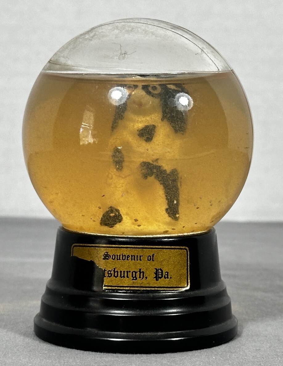 Vintage Souvenir Pittsburg PA Bakelite Glass Snow Globe Cavalier Spaniel Dog