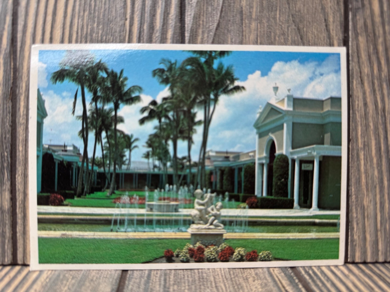 Vintage Royal Poinciana Plaza Postcard Palm Beach Florida Photo By Bob Glander