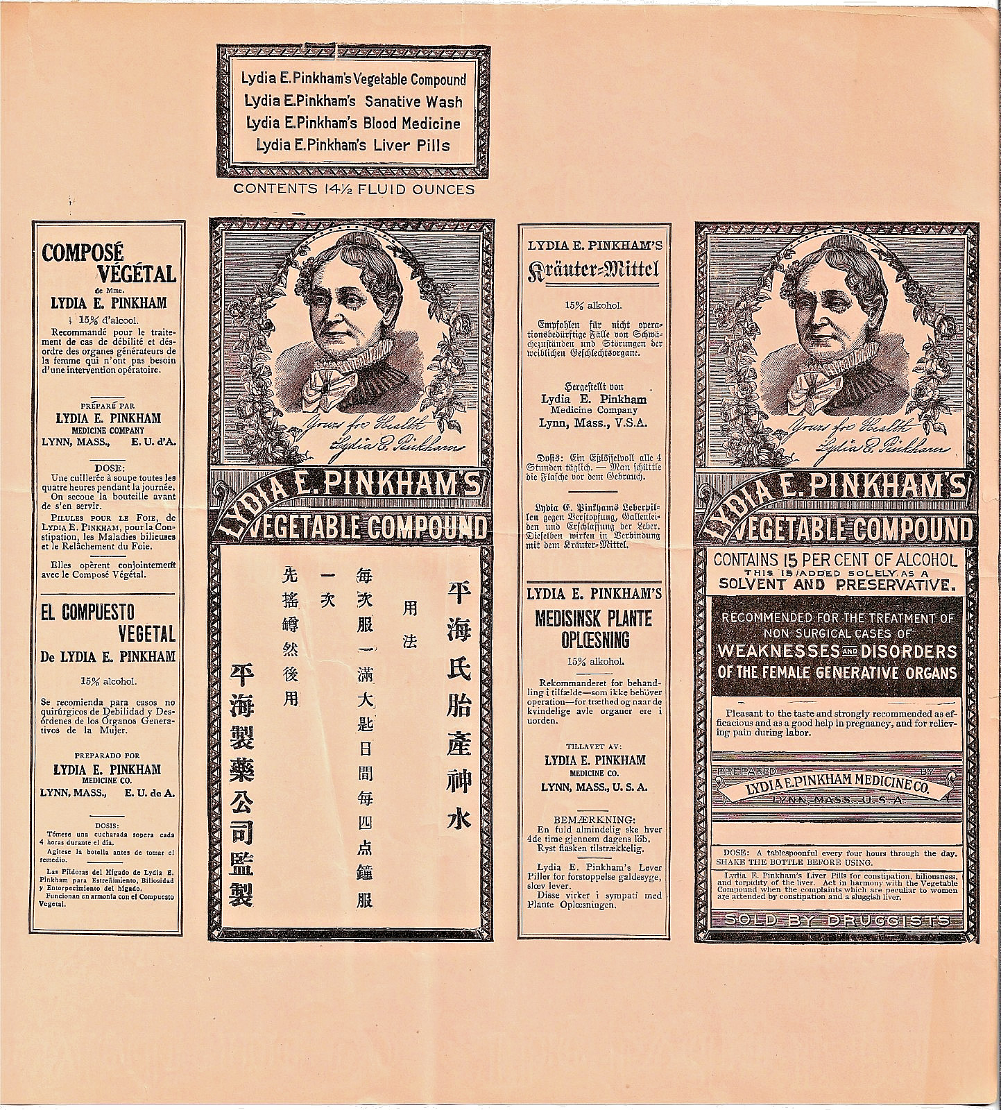RARE 1920s Lydia Pinkham Multi-Language Uncut Printer Proof Prospectus 13x13