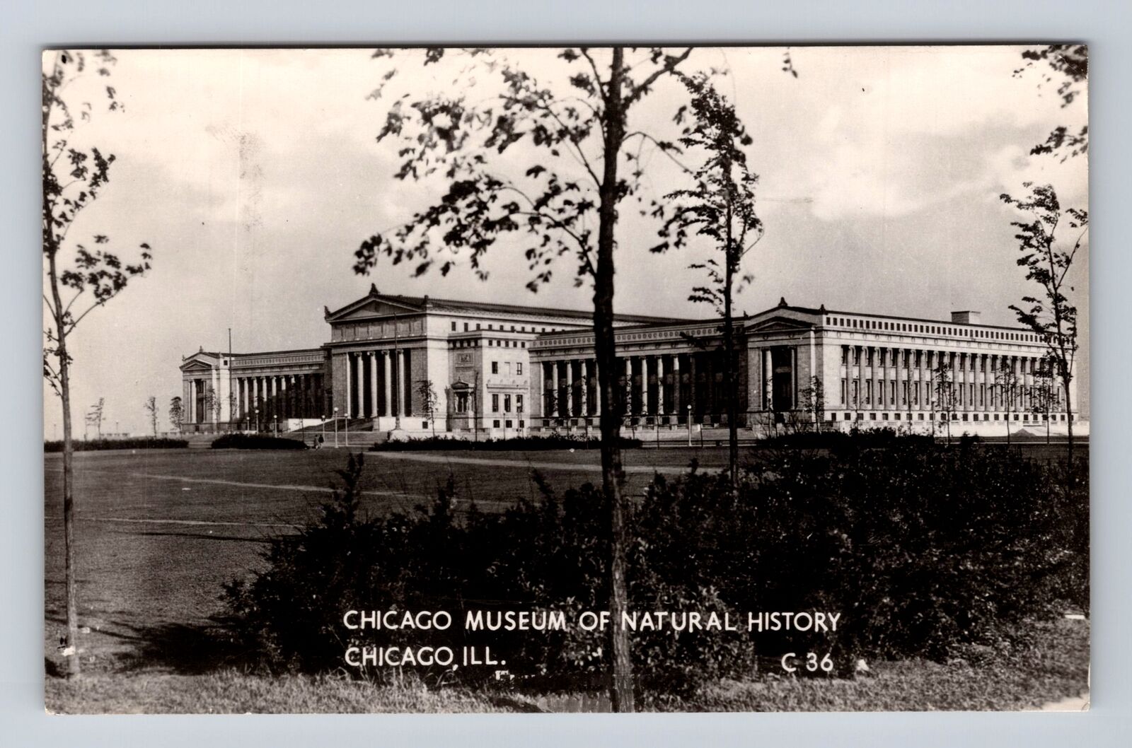 Chicago IL-Illinois, Chicago Museum Of Natural History, Vintage c1950 Postcard