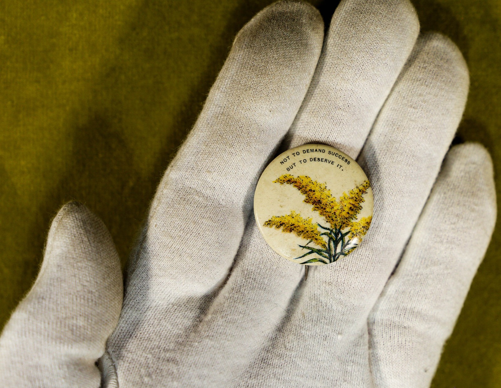 Antique Celluloid Pinback • Goldenrod Flower • H.D. Chapin Flower Series