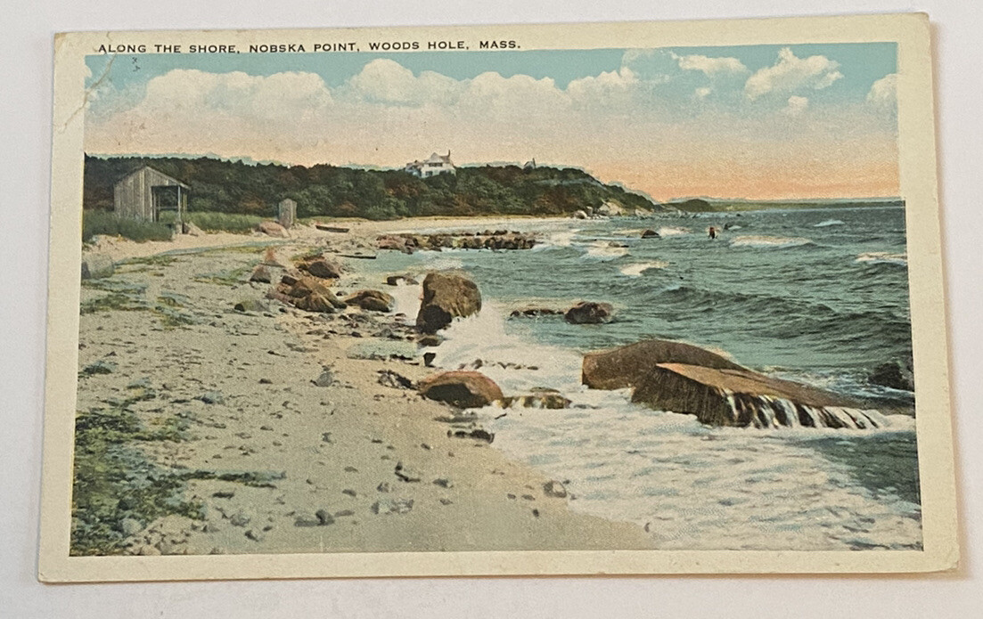 Shoreline Nobska Point ~ Woods Hole Massachusetts MA ~ Antique 1920s Postcard