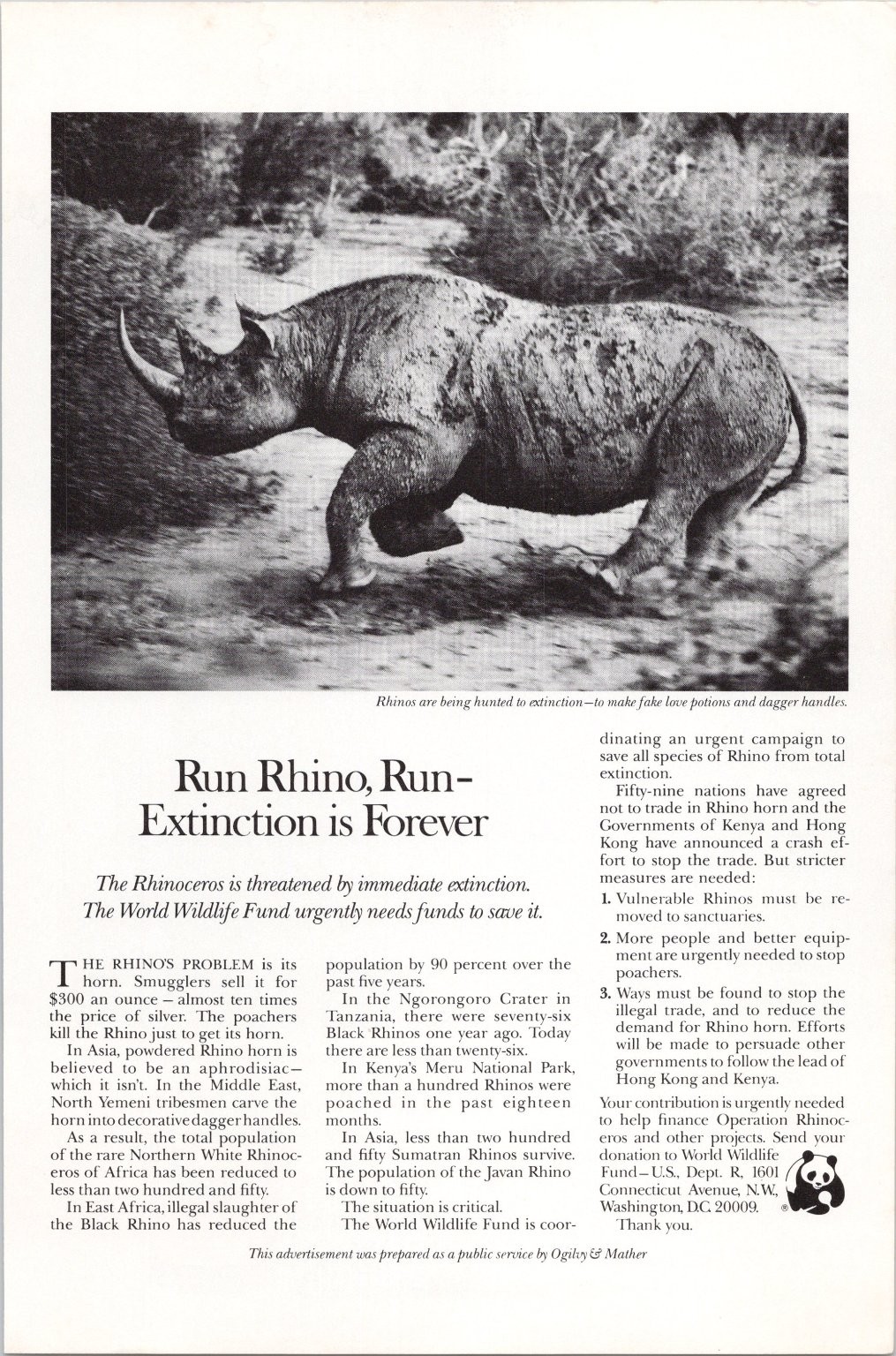 WWF Rhino Extinction Vintage Magazine Print Public Service 1980 Ad WWF Rhino Extinction Vintage Magazine Print Public Service 1980 Ad