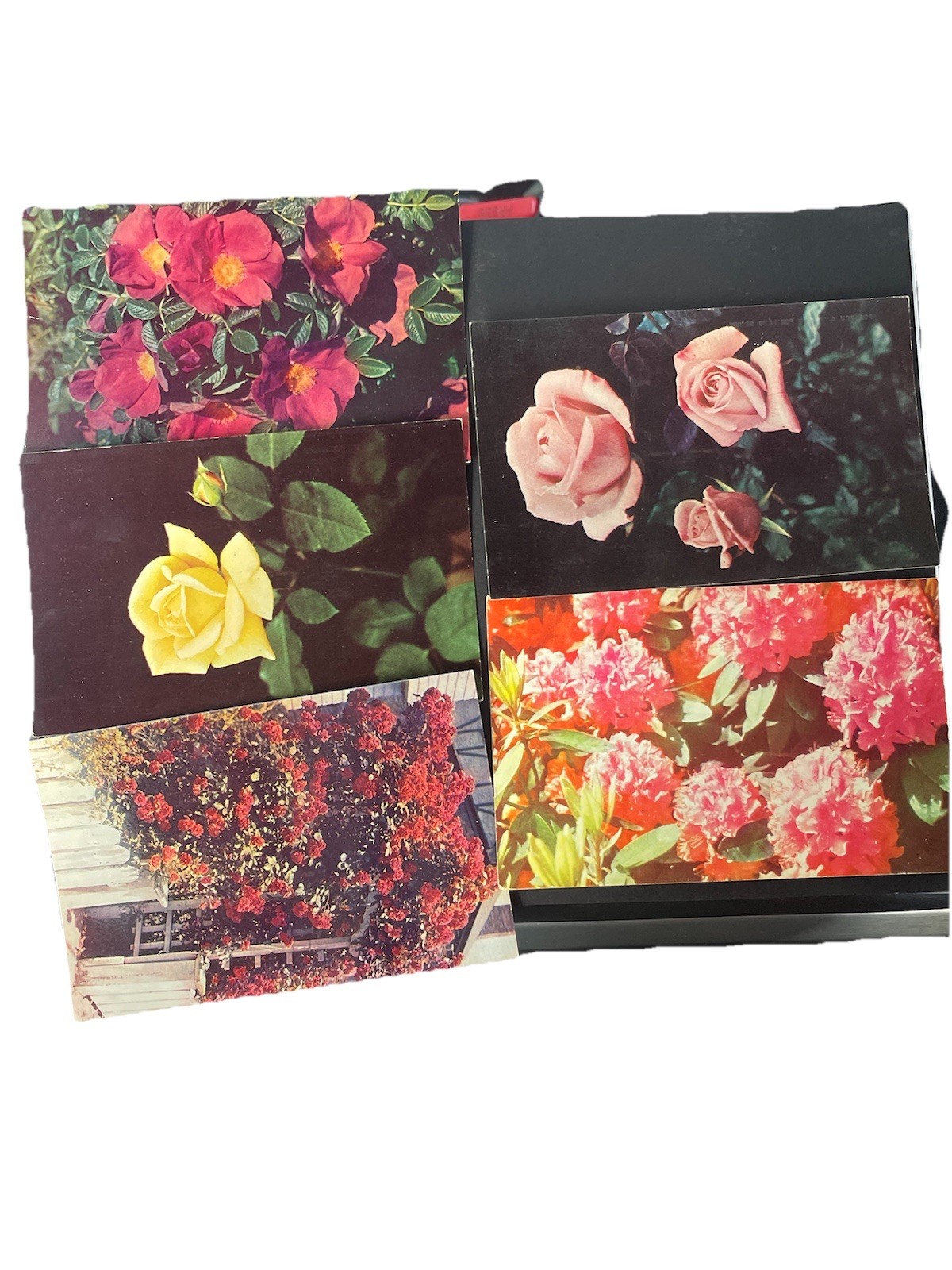 Lot of 5 Vintage Floral Postcards