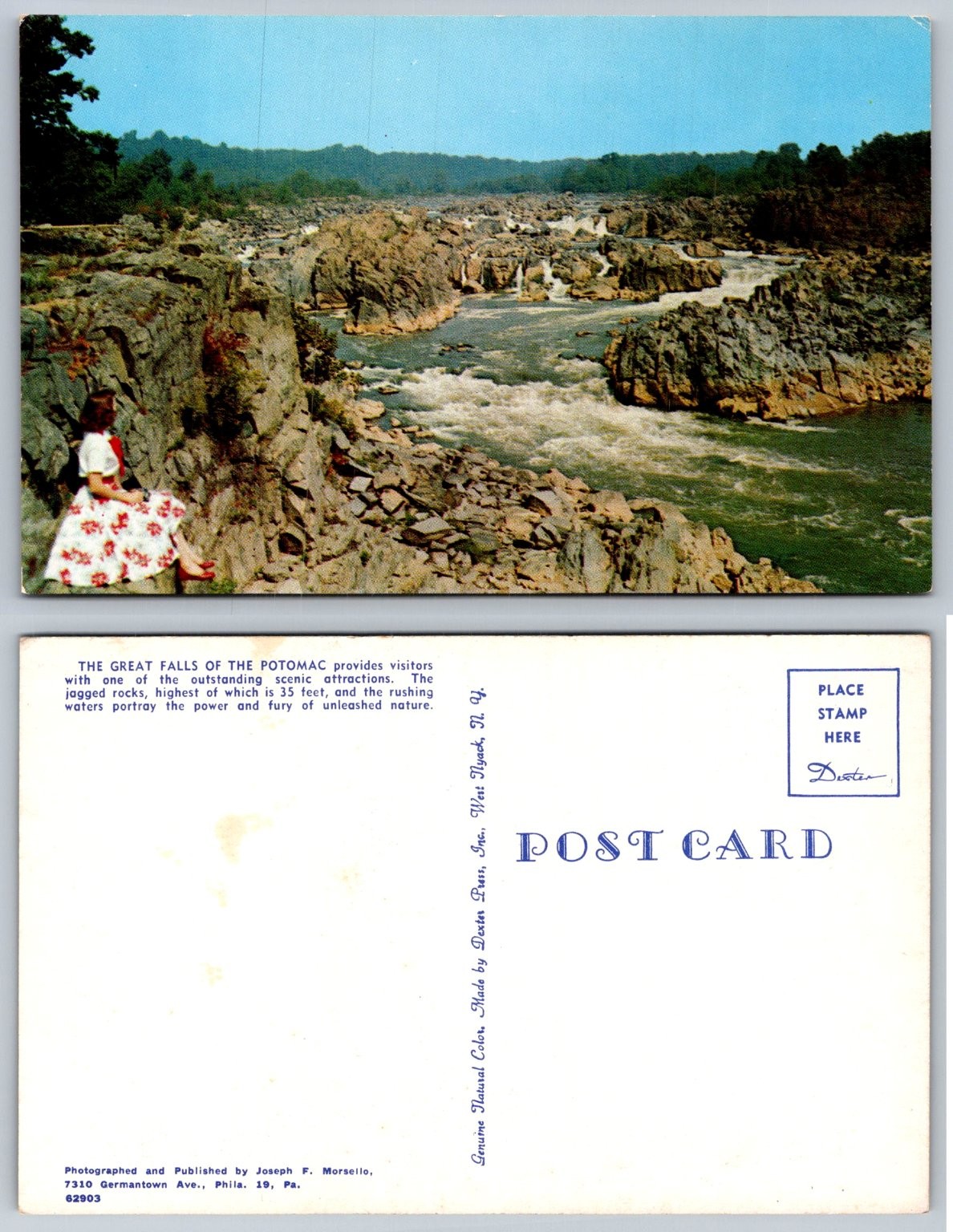 Great Falls Potomac River MD VA Postcard Dexter Press Chrome 1950s Scenic