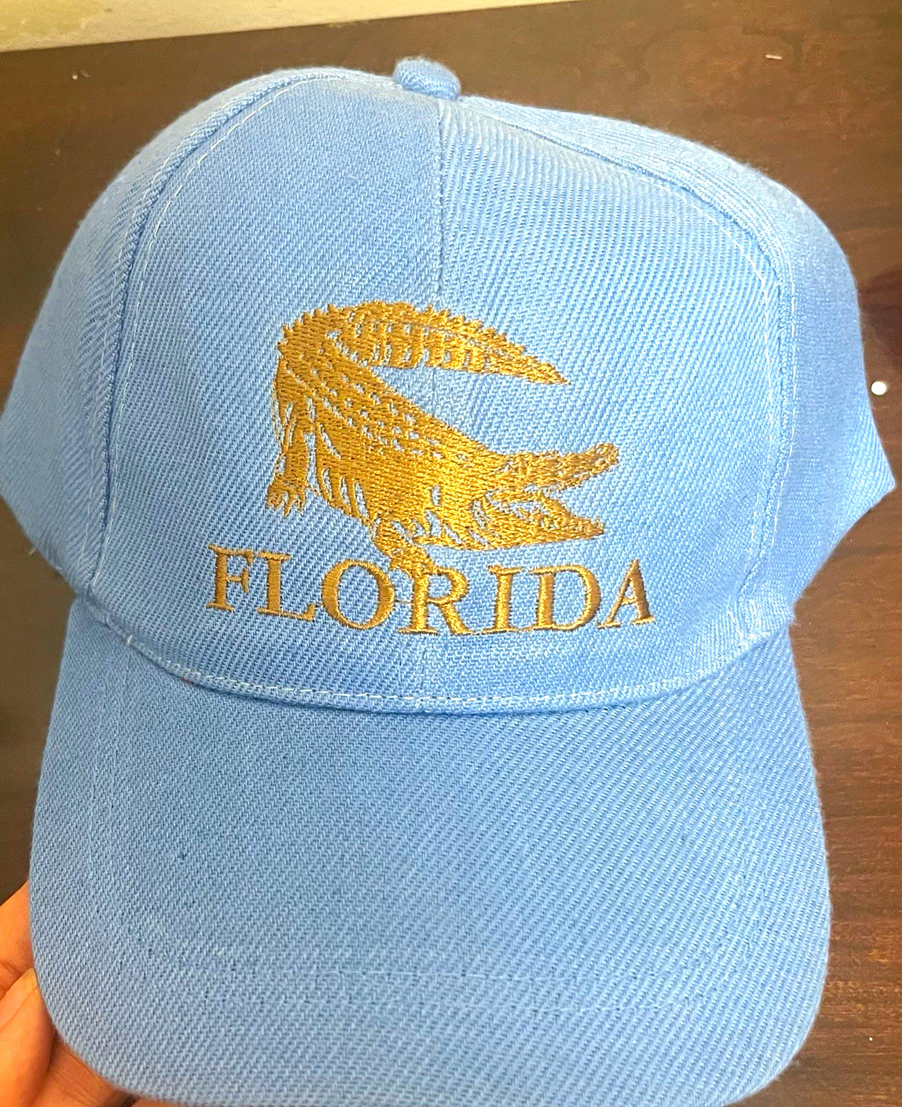 Florida Alligator Embroidered Baseball Cap Hat, Florida State Theme Headwear.