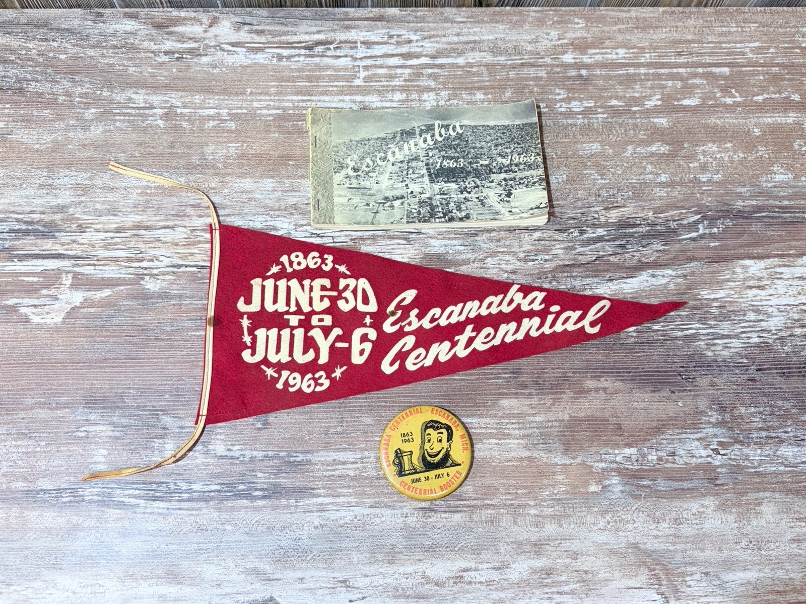 Rare Escanaba Michigan Centennial Pennant 100 Years Book & Pin Rare Escanaba Michigan Centennial Pennant 100 Years Book & Pin