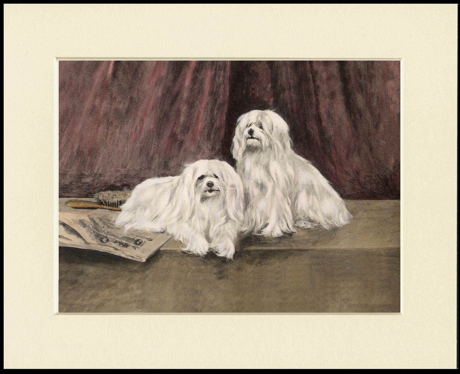 MALTESE DOGS LOVELY DOG PRINT MOUNTED READY TO FRAME