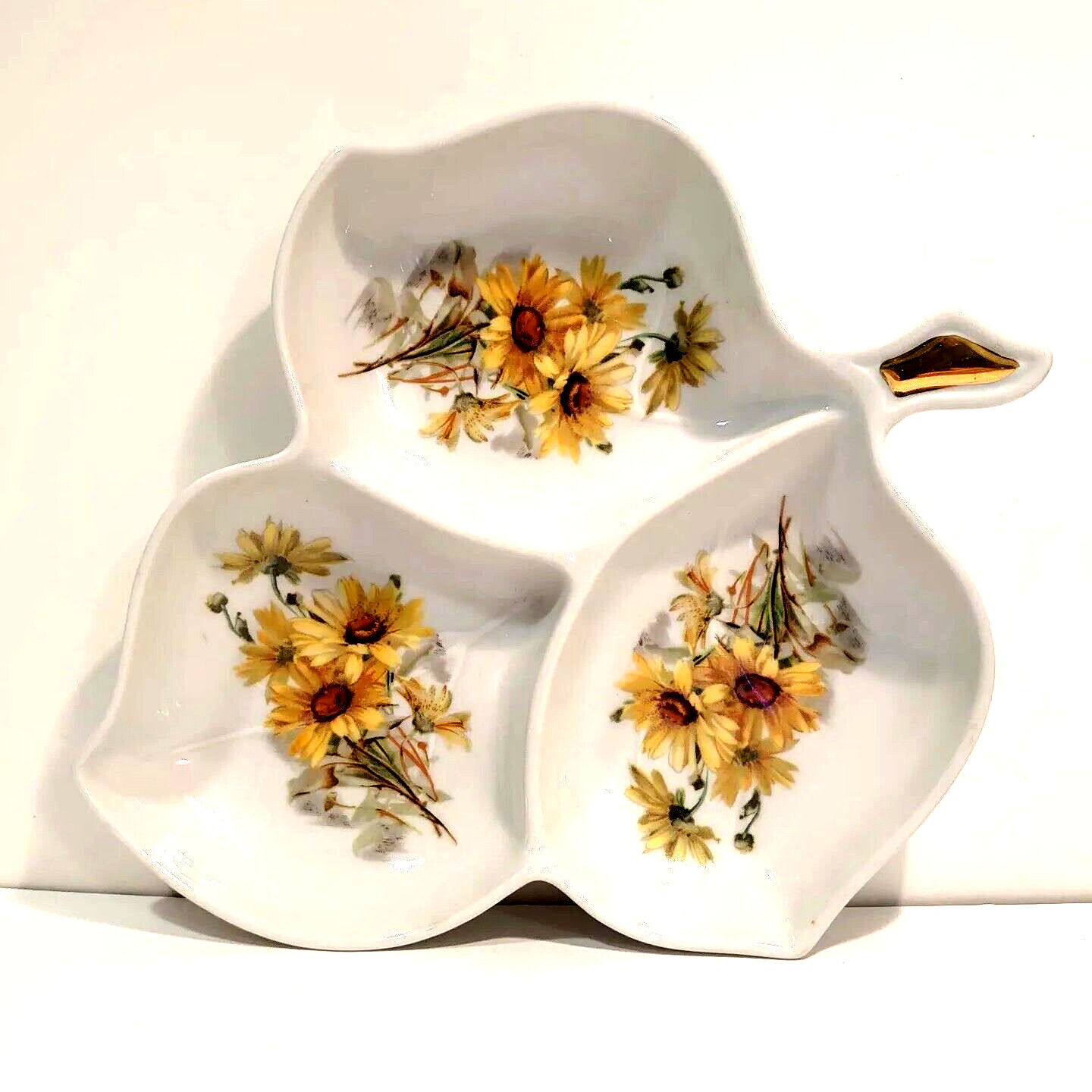 Leaf Shaped Condiment Dish With Daisies Old Nuremberg Bavaria Germany Leaf Shaped Condiment Dish With Daisies Old Nuremberg Bavaria Germany